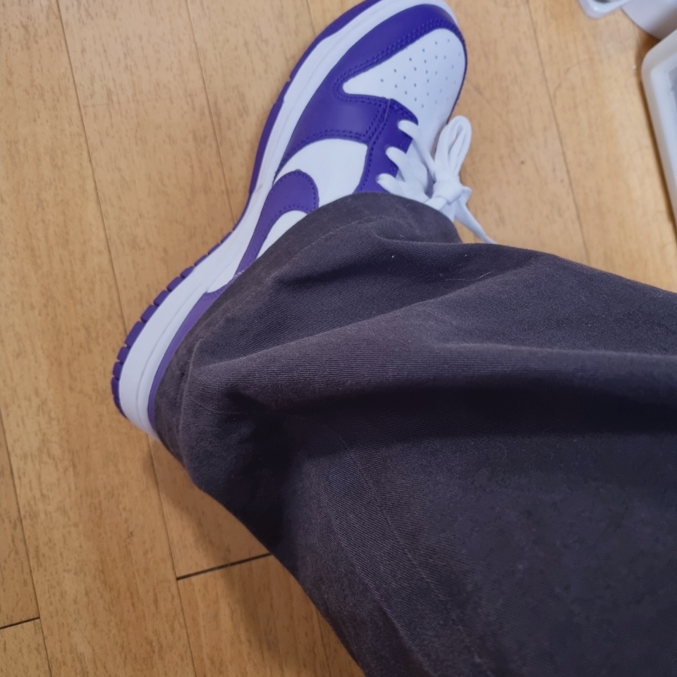 Nike Dunk Low Retro Championship Court Purple 착용 스타일 - 2