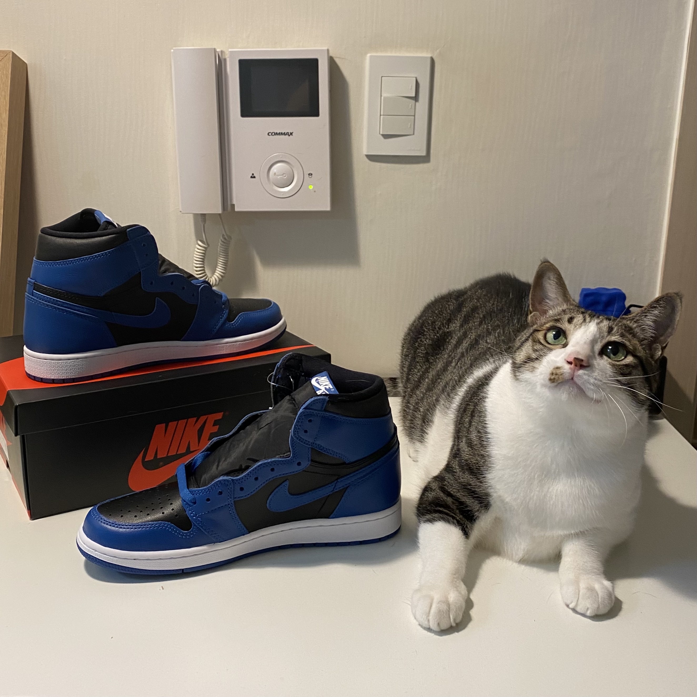 Jordan 1 Retro High OG Dark Marina Blue 착용 스타일 - 1