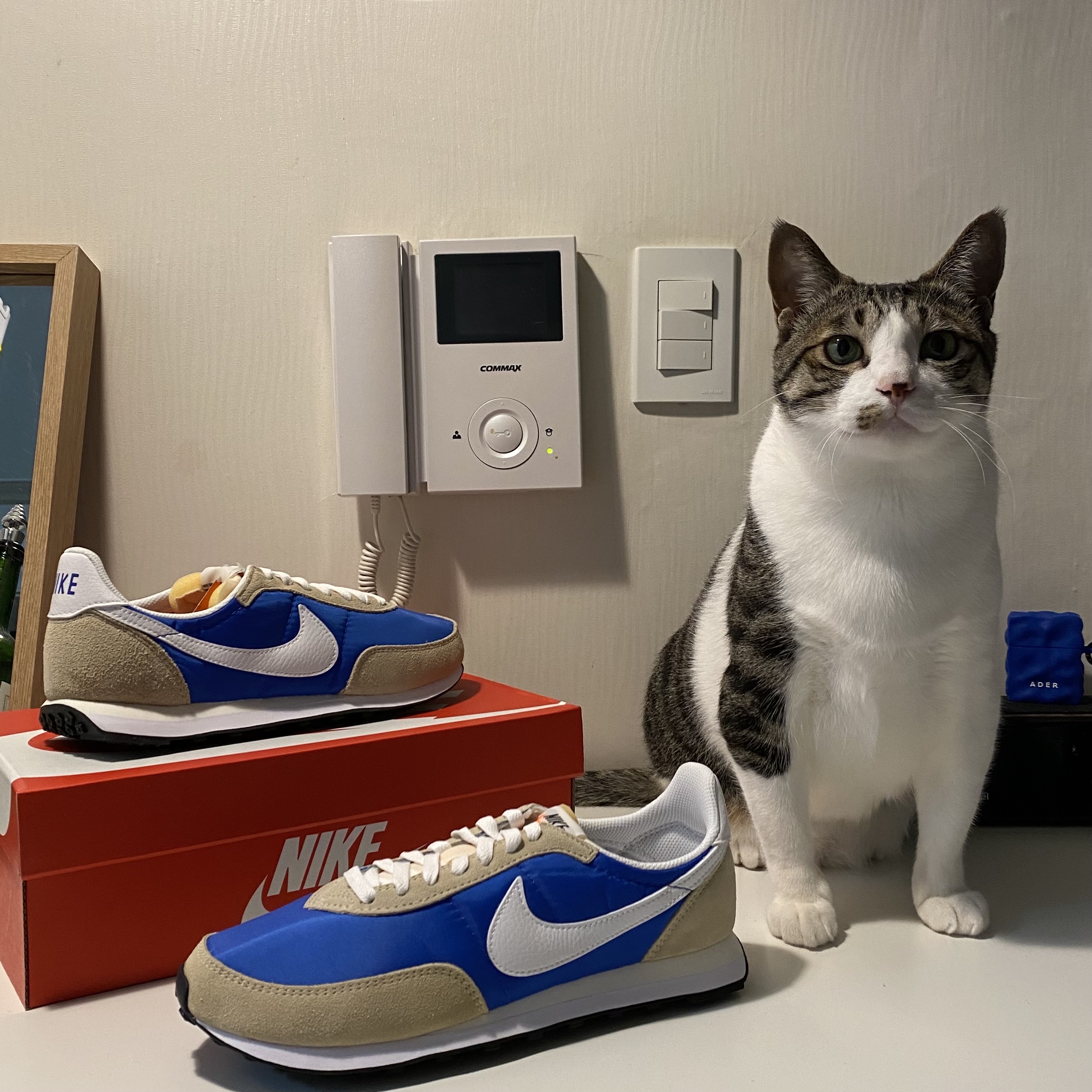 Nike Waffle Trainer 2 Hyper Royal Rattan 착용 스타일 - 2