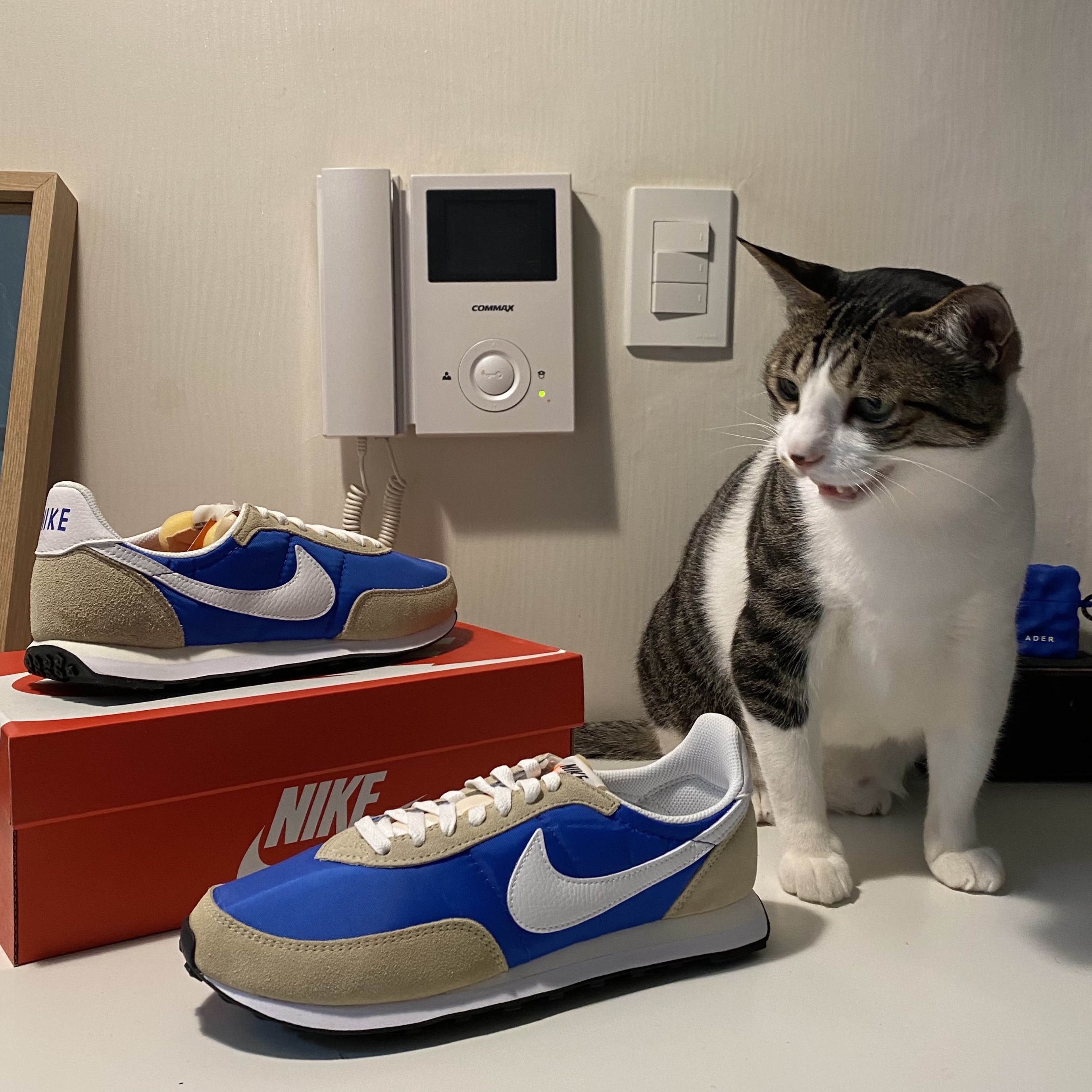 Nike Waffle Trainer 2 Hyper Royal Rattan 착용 스타일 - 1