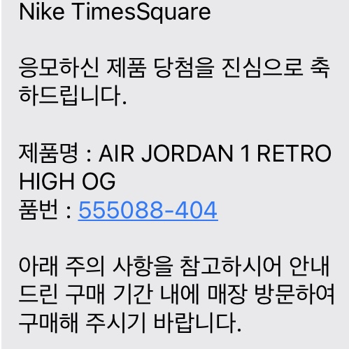 Jordan 1 Retro High OG Dark Marina Blue 착용 스타일