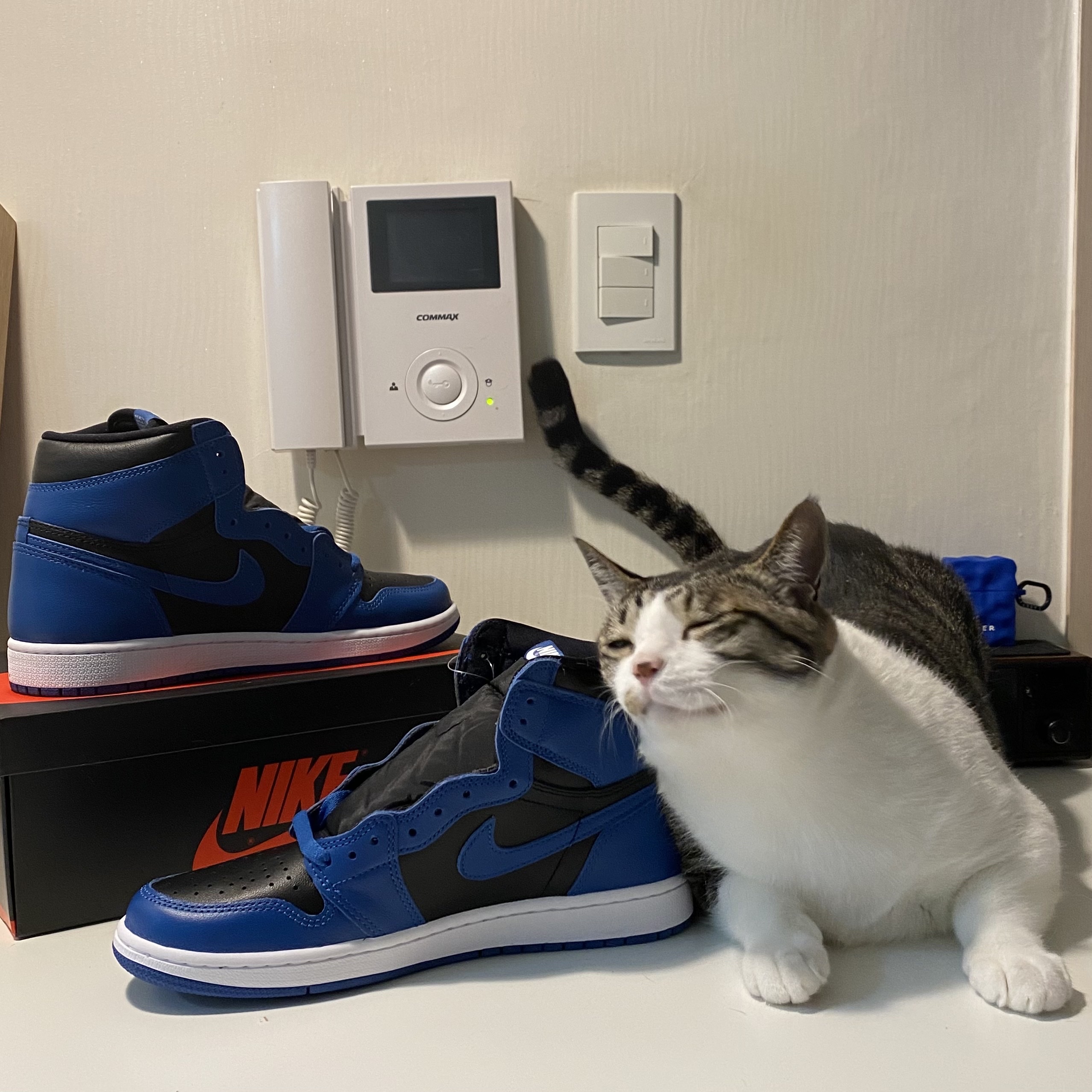 Jordan 1 Retro High OG Dark Marina Blue 착용 스타일 - 3