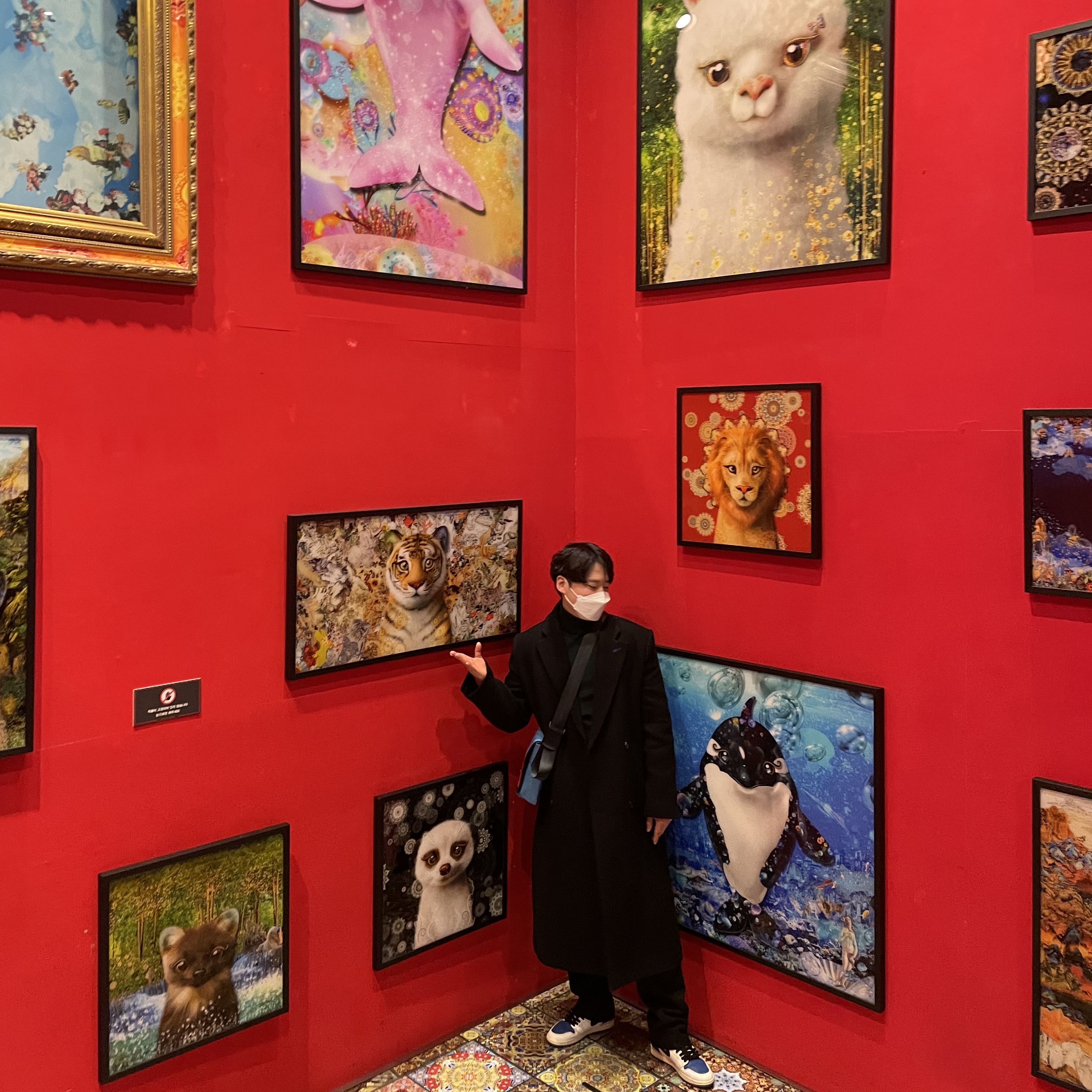 ์์
์ด๋ฏธ์ง