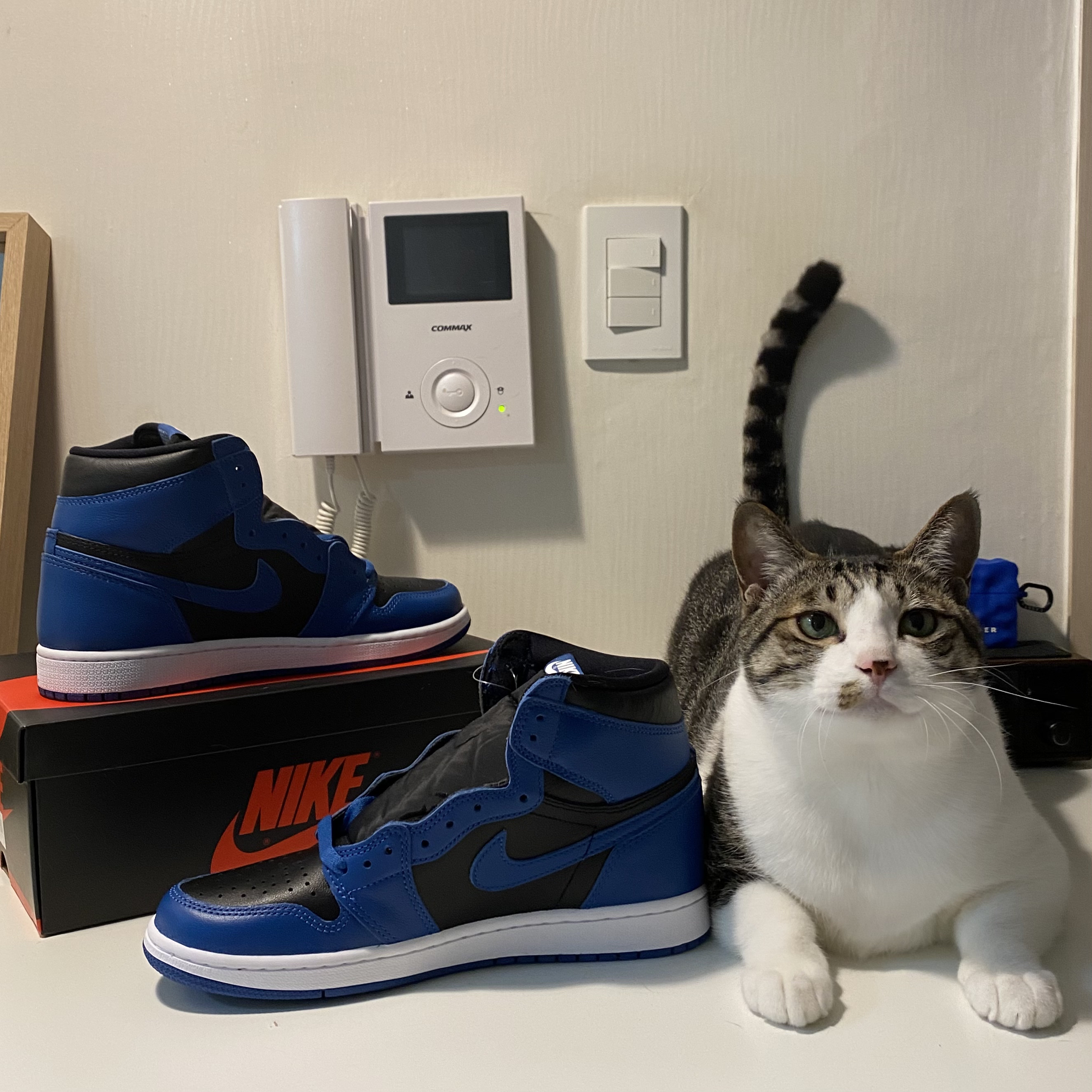 Jordan 1 Retro High OG Dark Marina Blue 착용 스타일 - 2