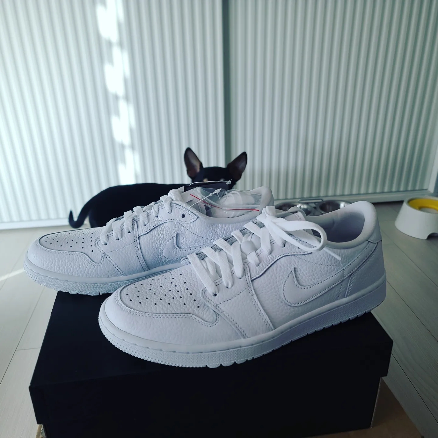 Jordan 1 Low Golf Triple White 착용 스타일 - 1