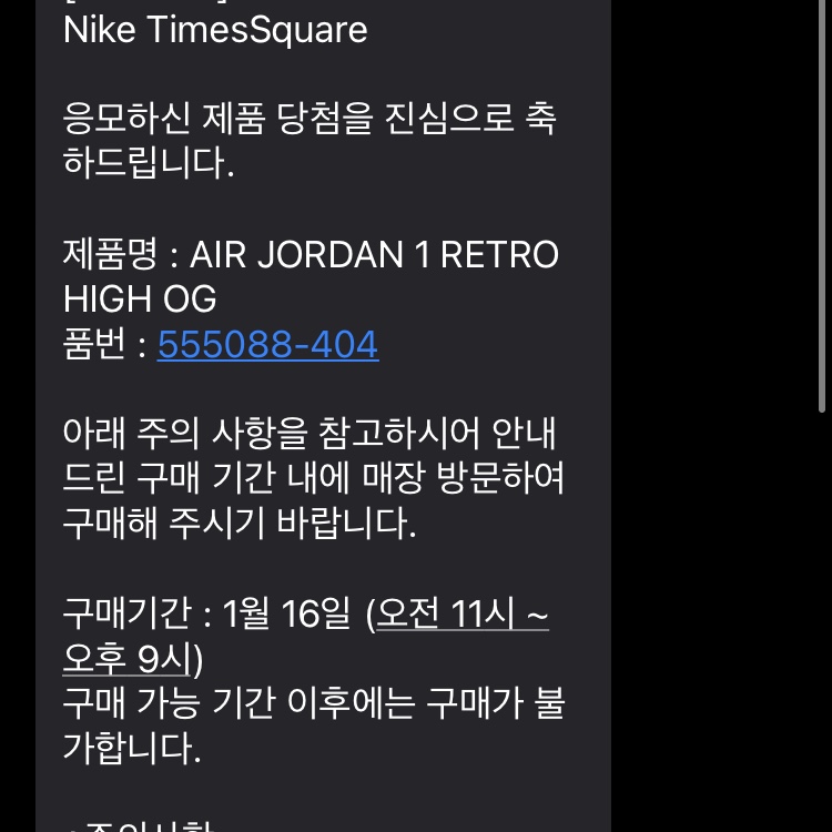 Jordan 1 Retro High OG Dark Marina Blue 착용 스타일 - 3