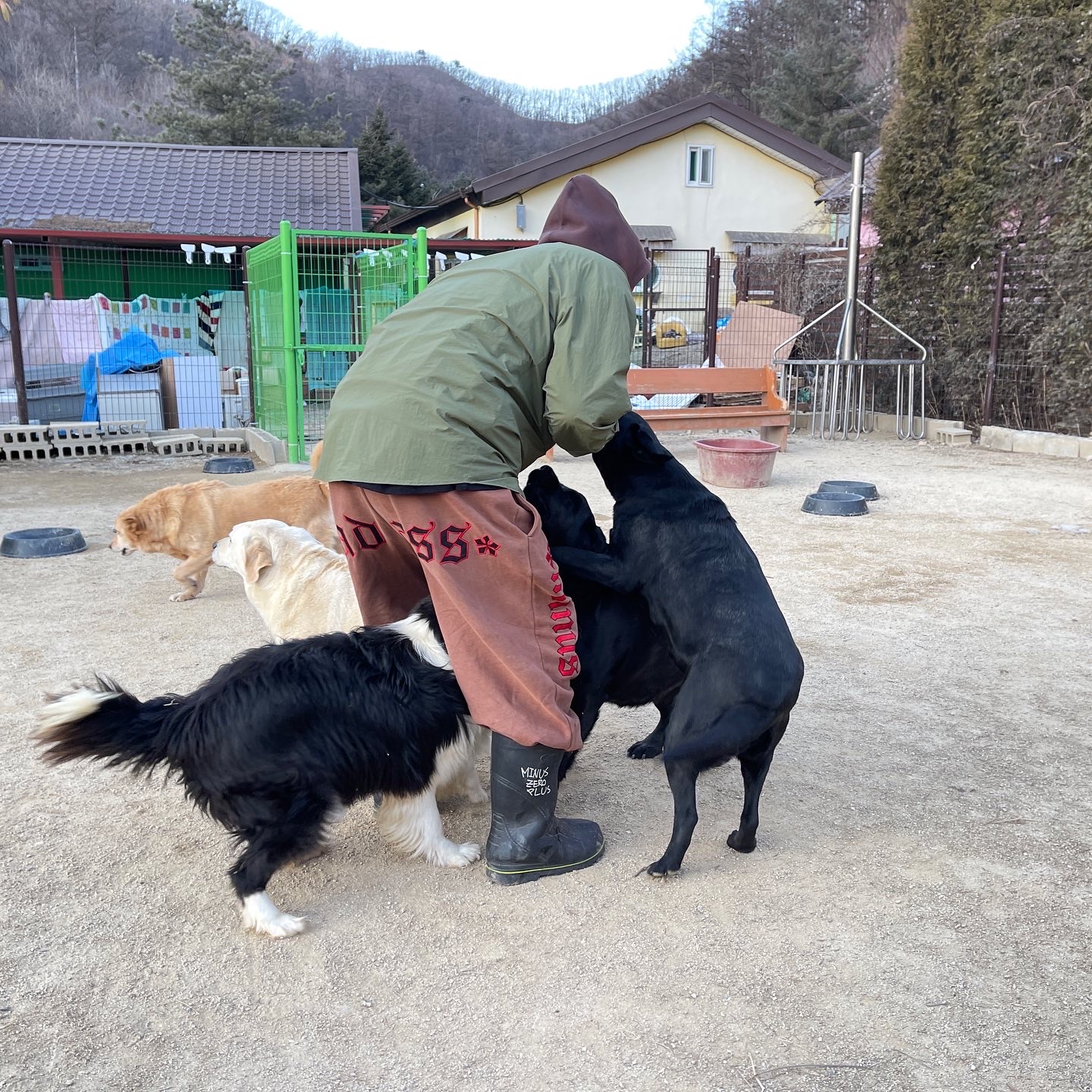 죽간님의 스타일