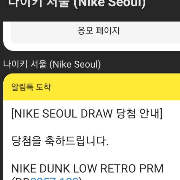 Nike Dunk Low Retro PRM Halloween 착용 스타일