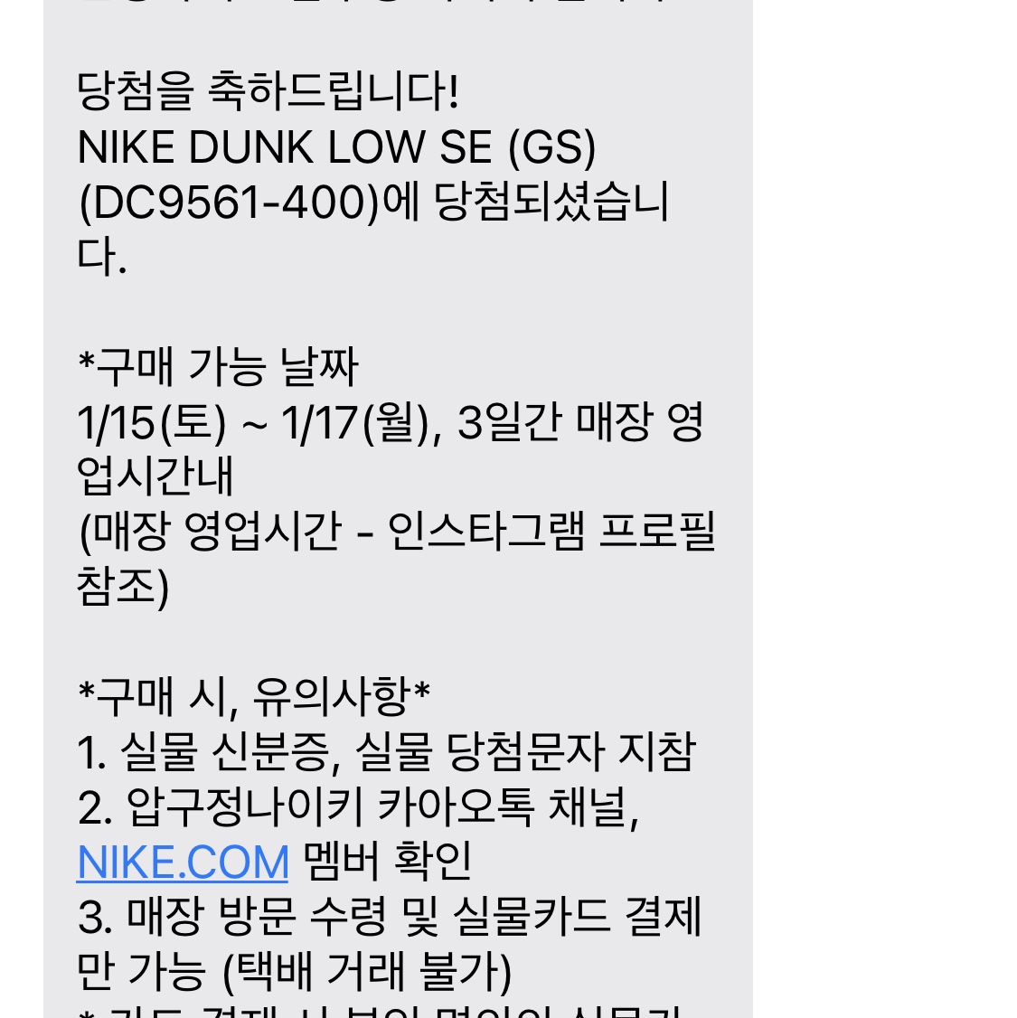 (GS) Nike Dunk Low SE Next Nature Riftblue 착용 스타일 - 2