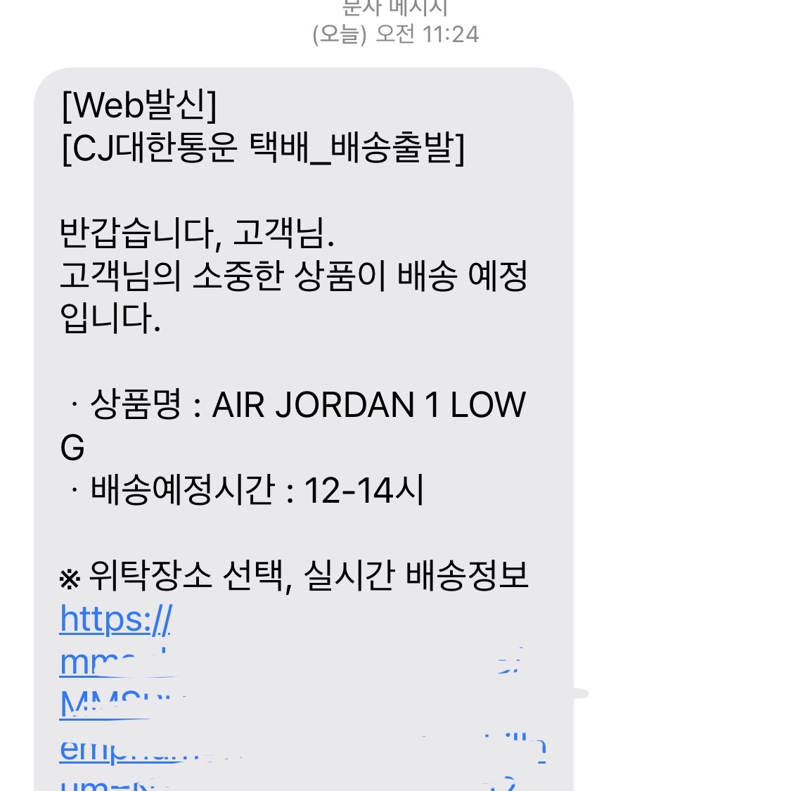 Jordan 1 Low Golf Chicago 착용 스타일 - 2