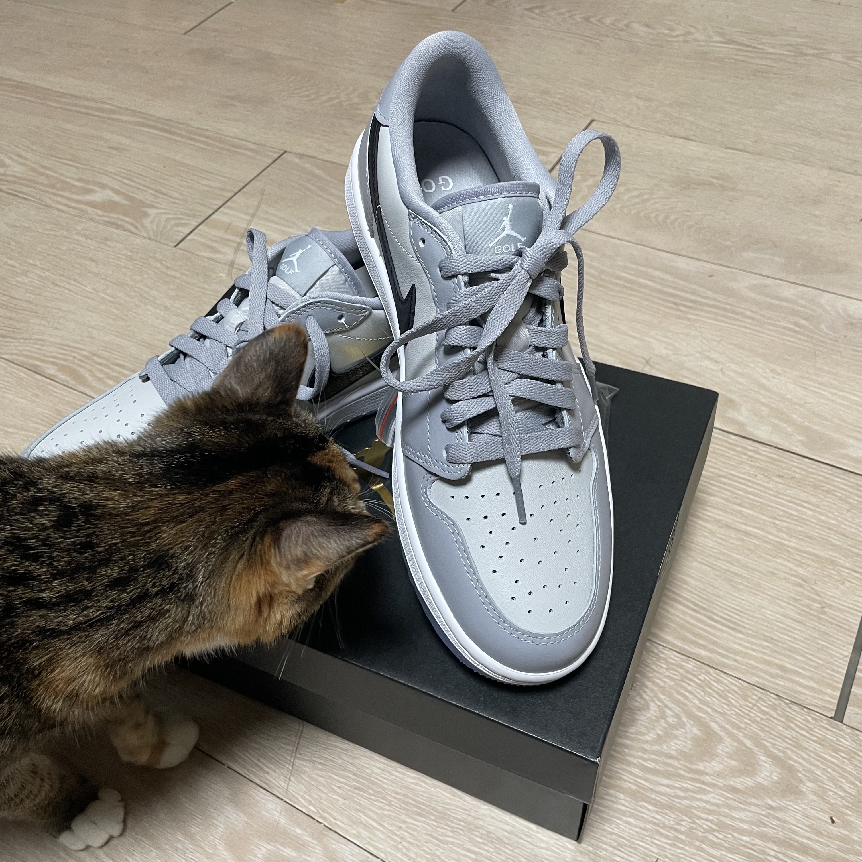 Jordan 1 Low Golf Wolf Grey 착용 스타일