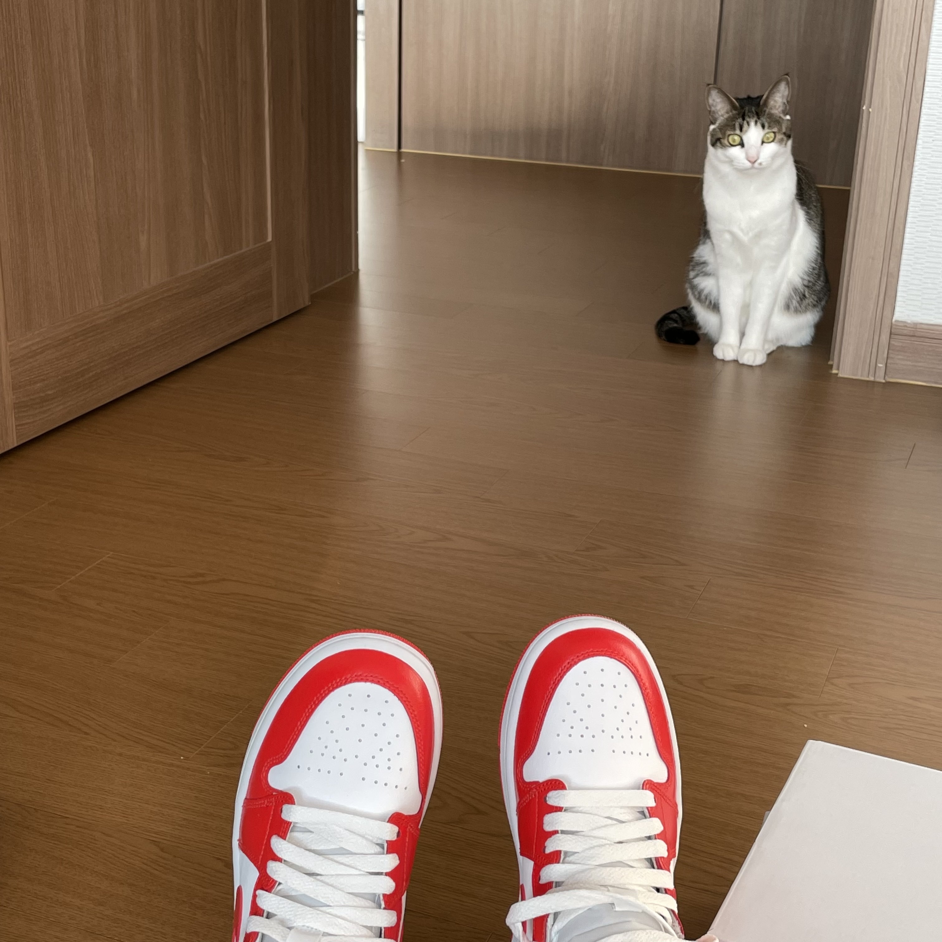 (W) Jordan 1 Mid Habanero Red 착용 스타일 - 1