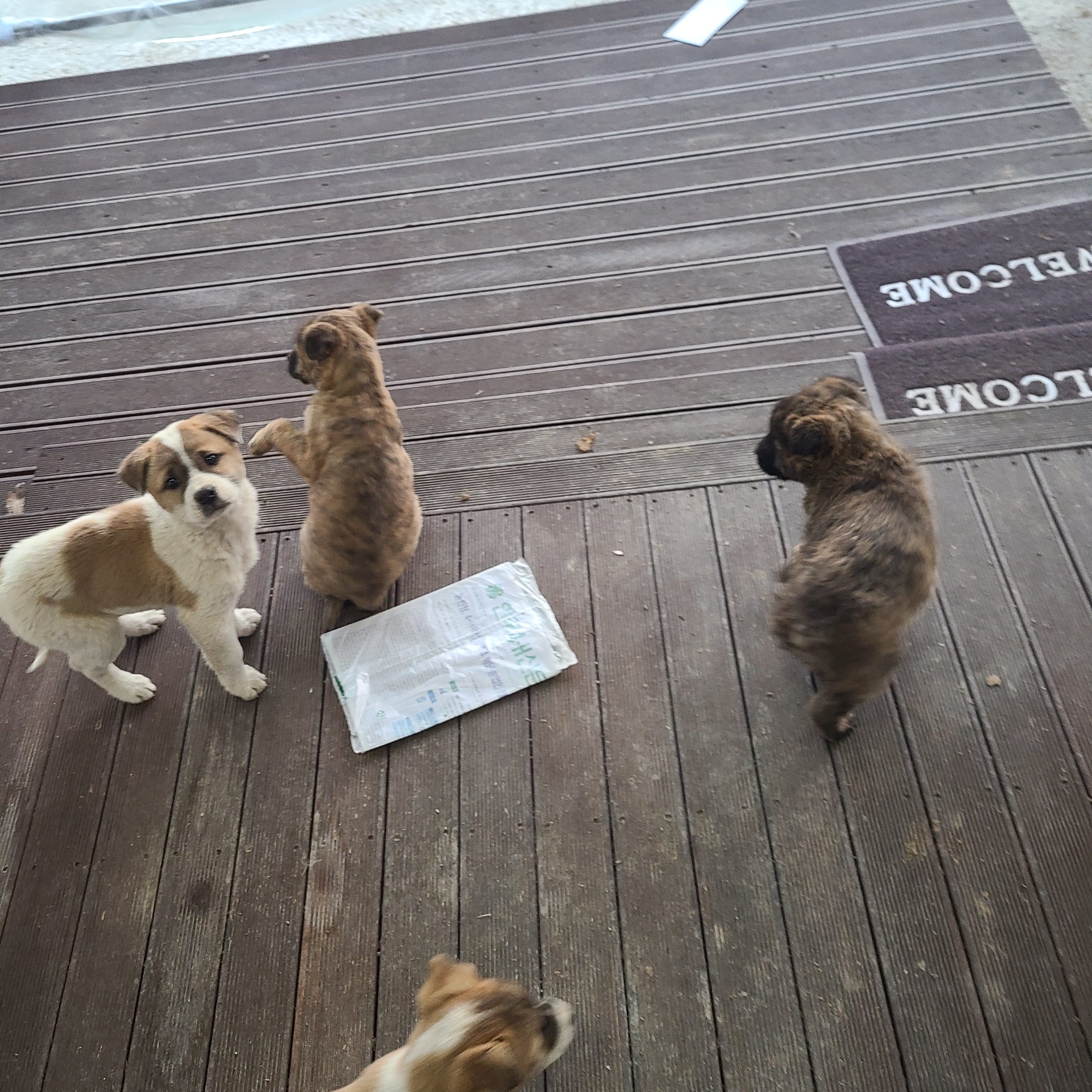 kind709님의 스타일