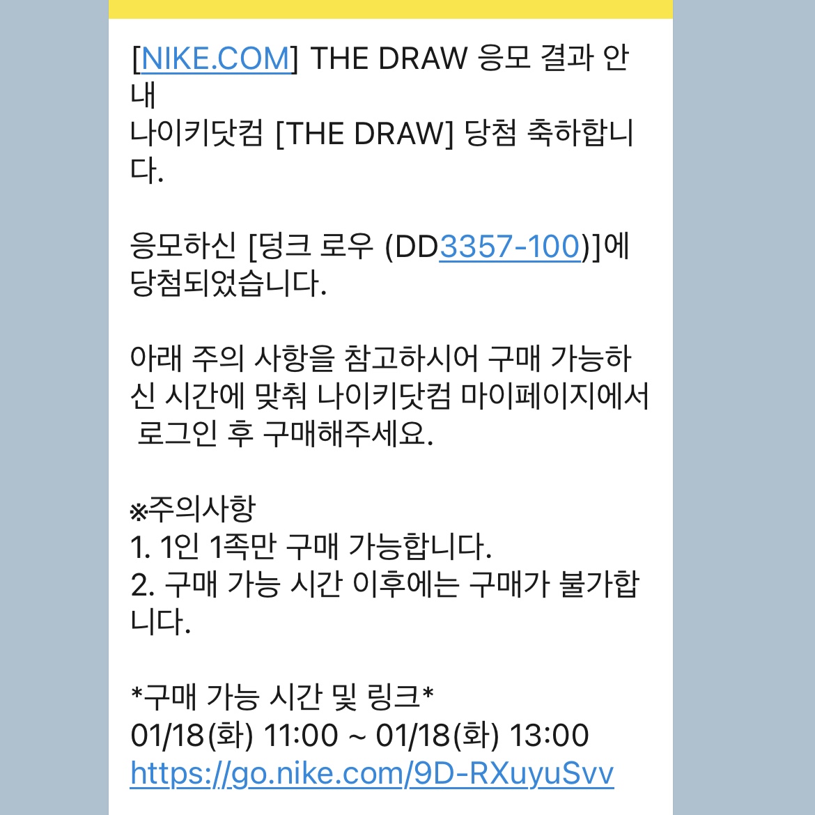 Nike Dunk Low Retro PRM Halloween 착용 스타일