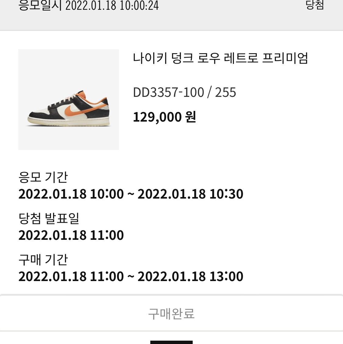 Nike Dunk Low Retro PRM Halloween 착용 스타일