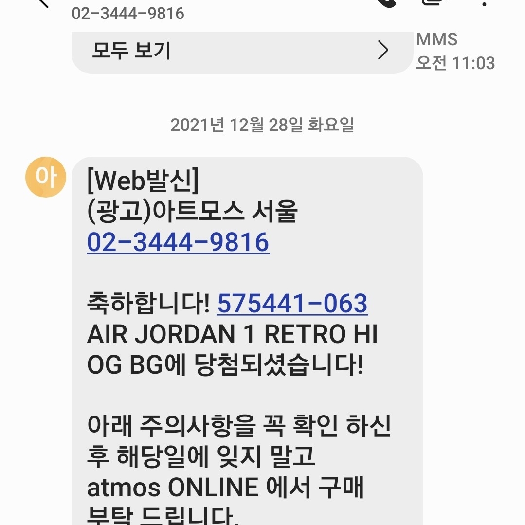 Jordan 1 Retro High OG Patent Bred, (GS) Jordan 1 Retro High OG Patent Bred 착용 스타일 - 5