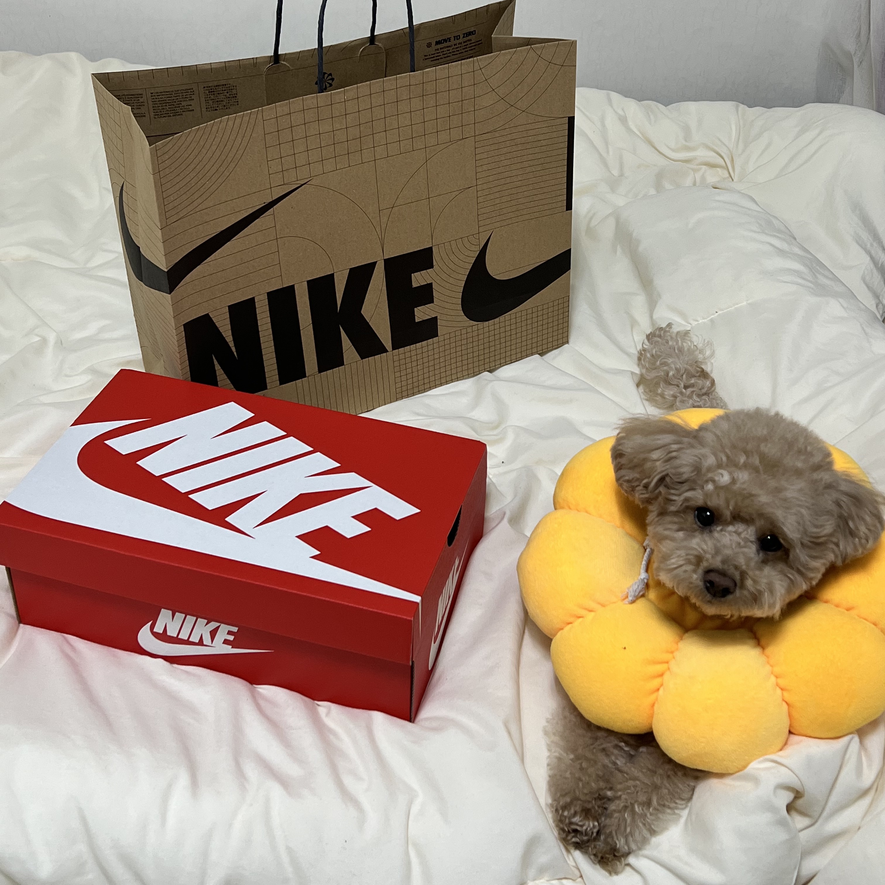 Nike Dunk Low Retro PRM Halloween 착용 스타일 - 1