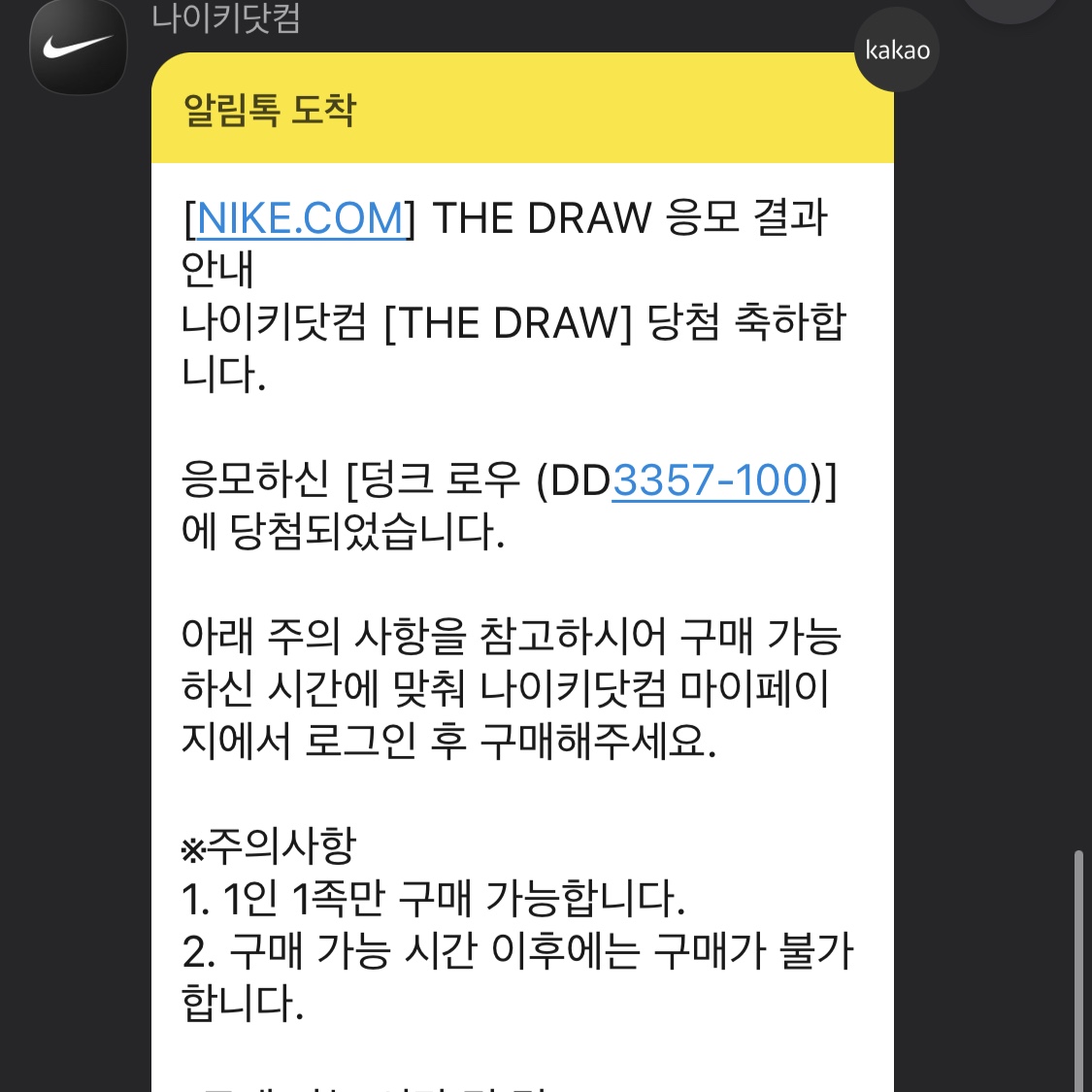 Nike Dunk Low Retro PRM Halloween 착용 스타일 - 1