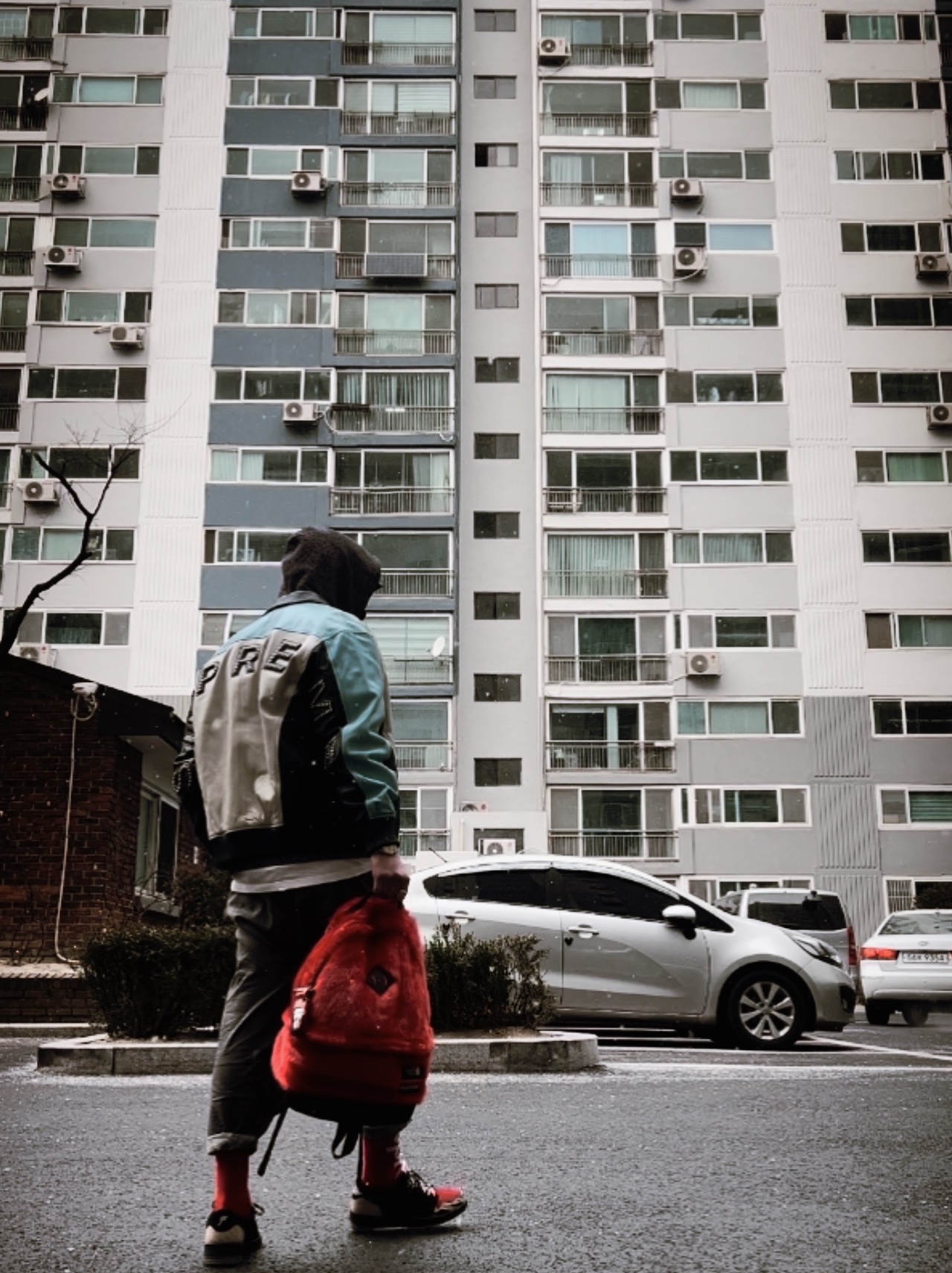 Supreme x Comme des Garcons Junya Watanabe Man Hooded Sweatshirt Black Flowers - 21FW, Supreme x The North Face Faux Fur Backpack Red - 20FW ์ฐฉ์ฉ ์คํ์ผ - 2