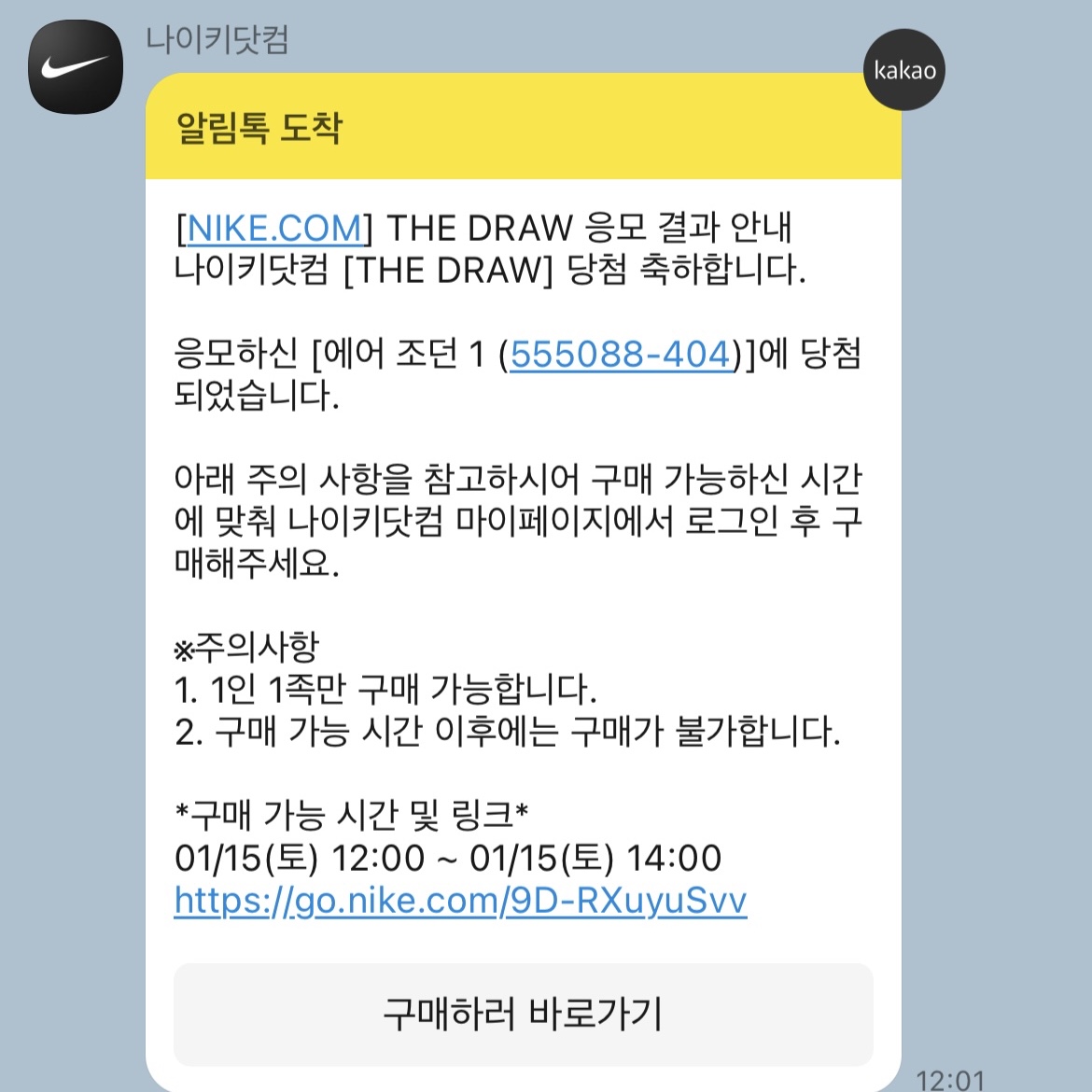 Jordan 1 Retro High OG Dark Marina Blue 착용 스타일