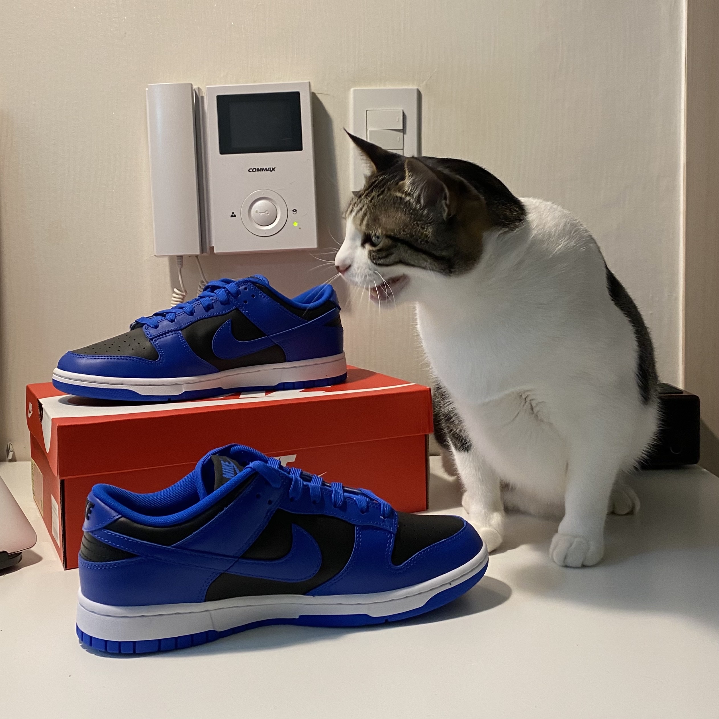 Nike Dunk Low Retro Hyper Cobalt 착용 스타일 - 2