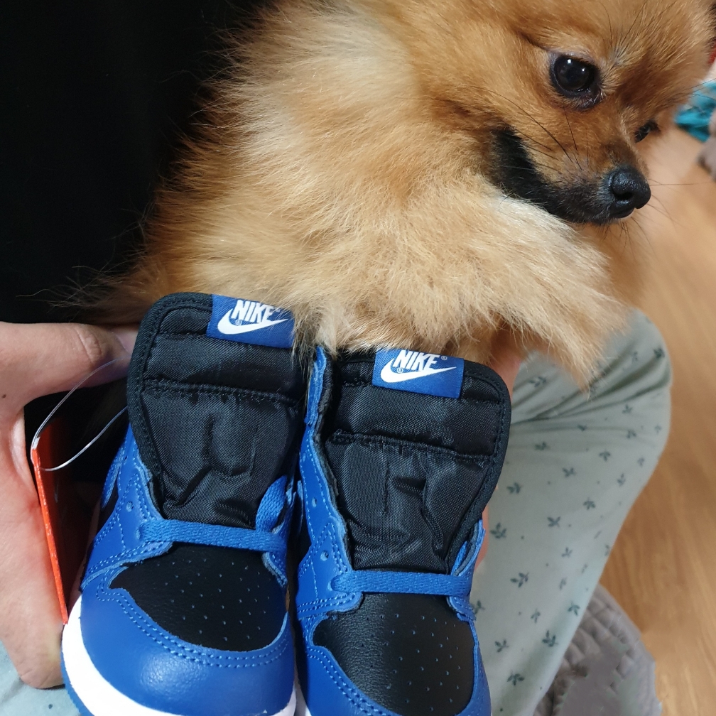 (TD) Jordan 1 Retro High OG Dark Marina Blue, Jordan 1 Retro High OG Dark Marina Blue 착용 스타일 - 2