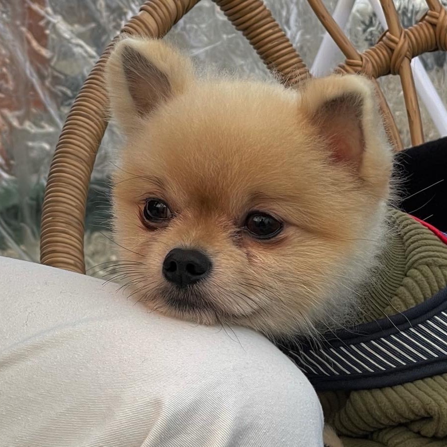 김병기님의 스타일