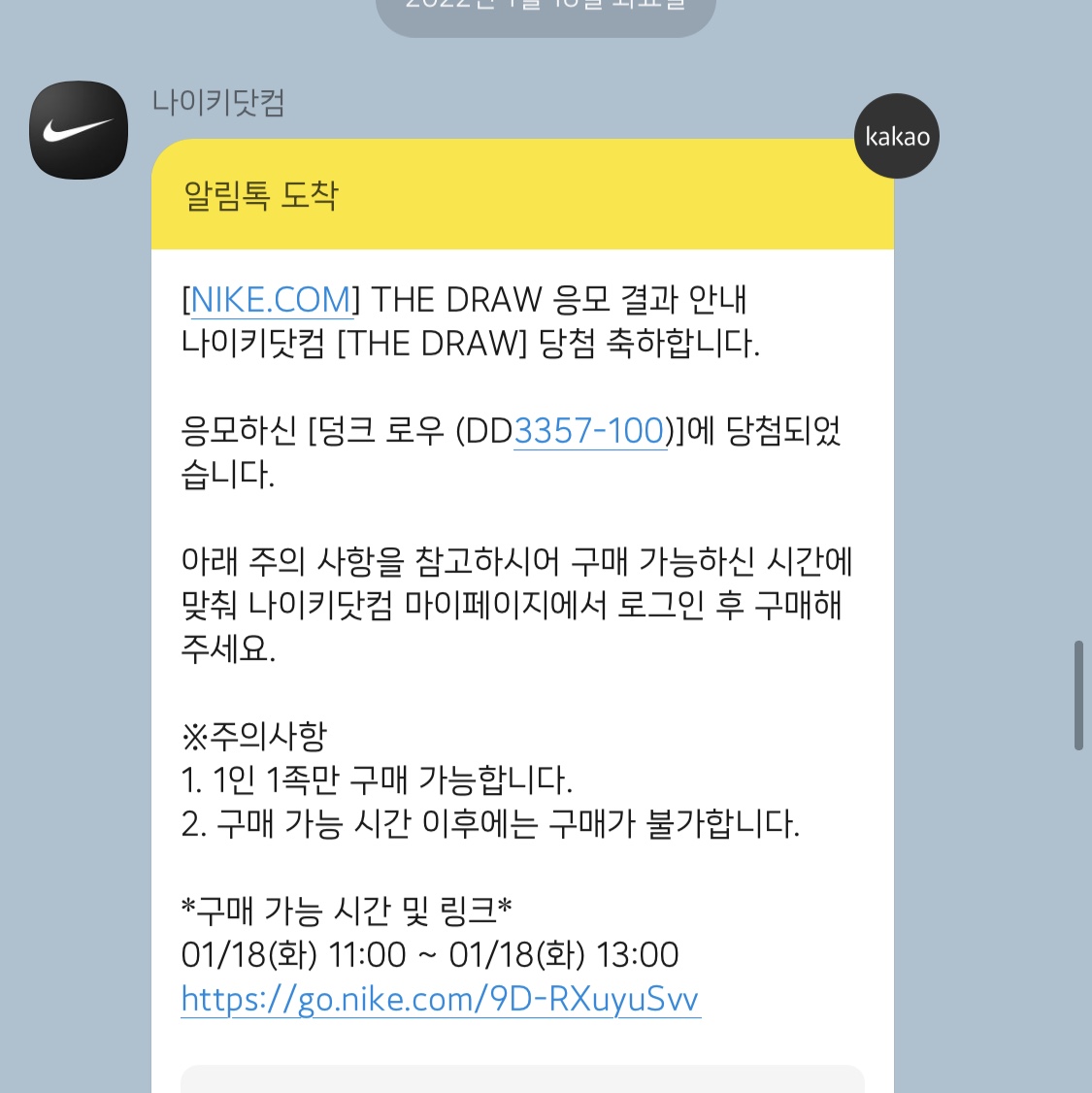 Nike Dunk Low Retro PRM Halloween 착용 스타일 - 3