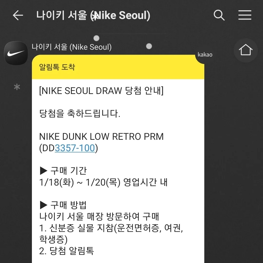 Nike Dunk Low Retro PRM Halloween 착용 스타일 - 3