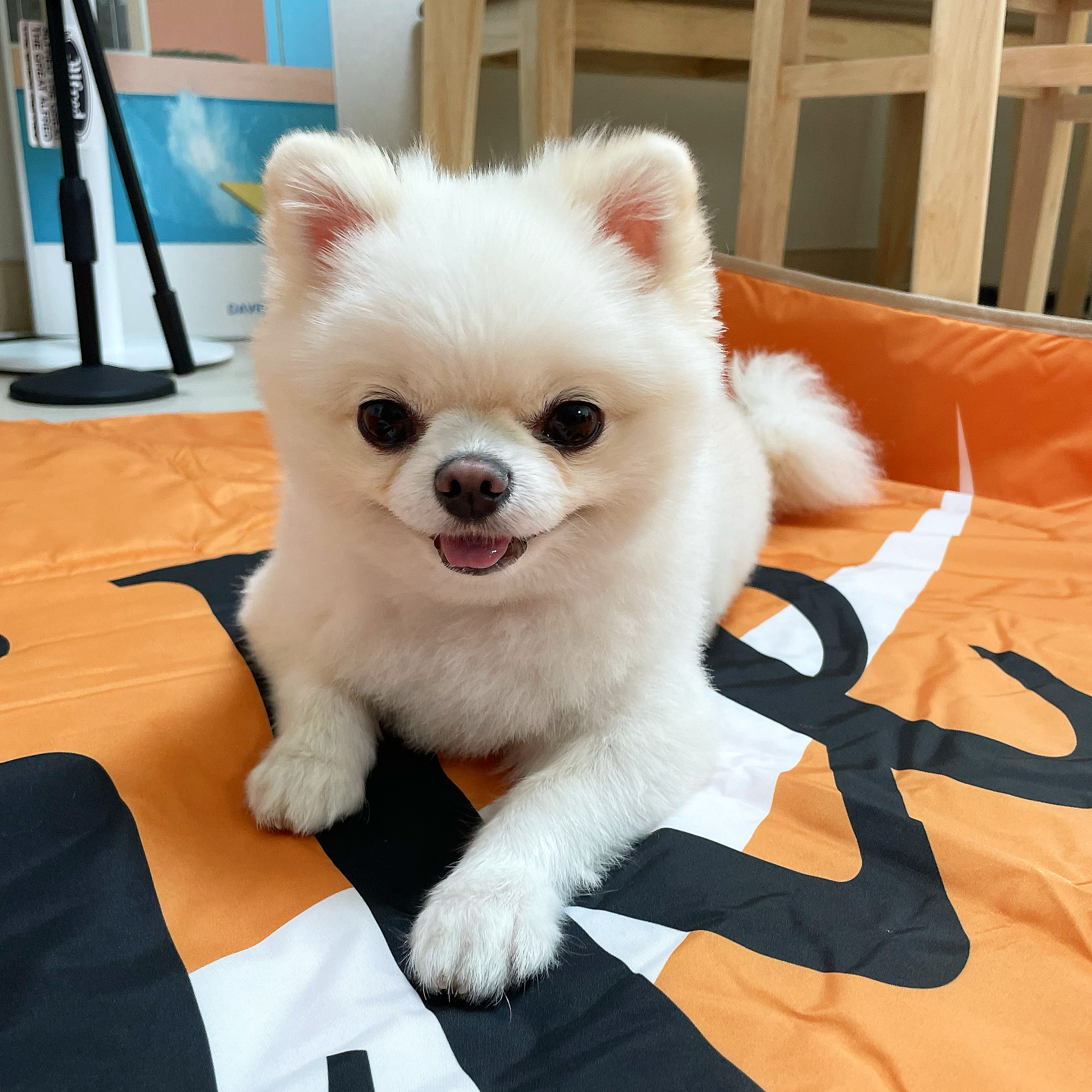 똘빡이님의 스타일 - 2