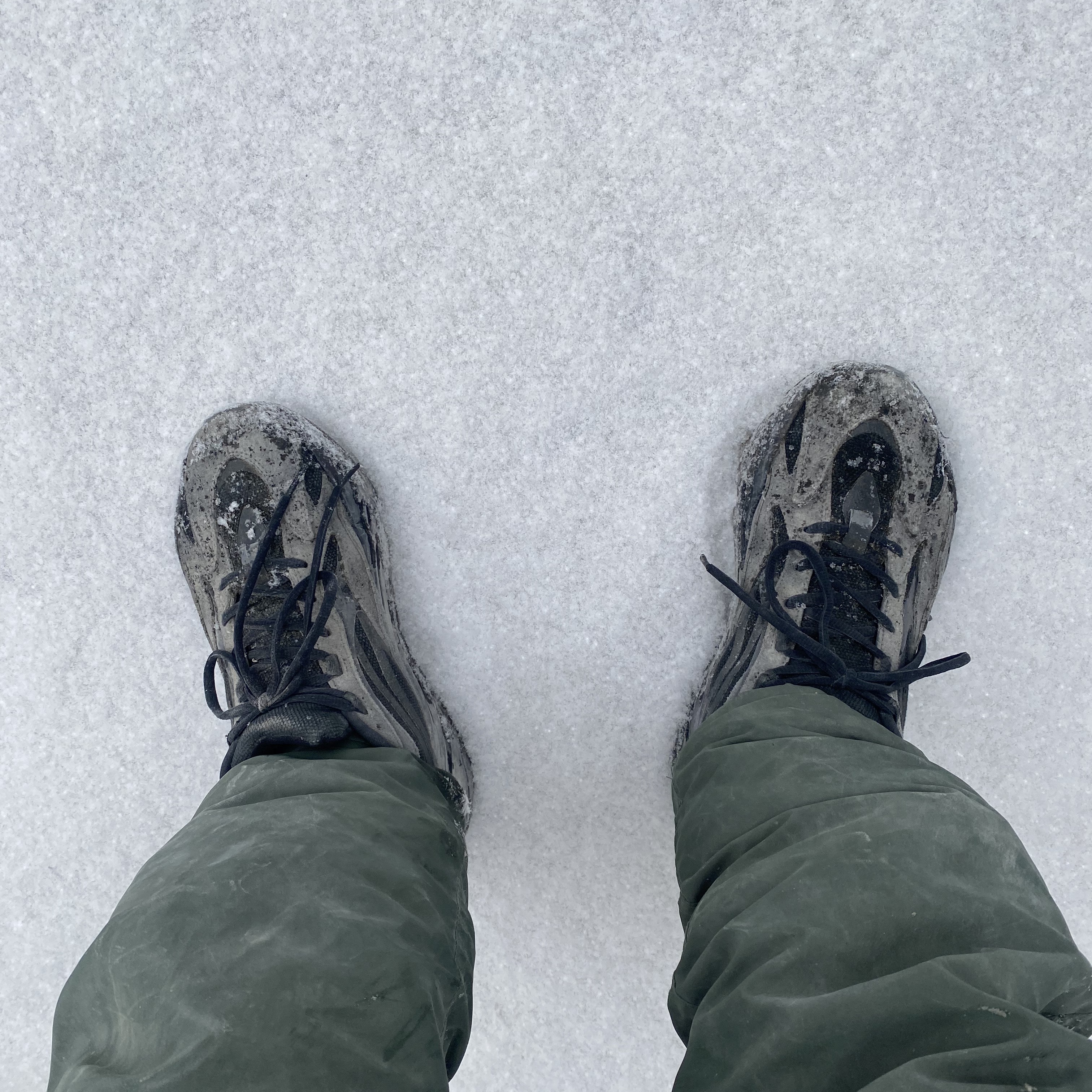 Adidas Yeezy Boost 700 V2 Vanta 2019 착용 스타일