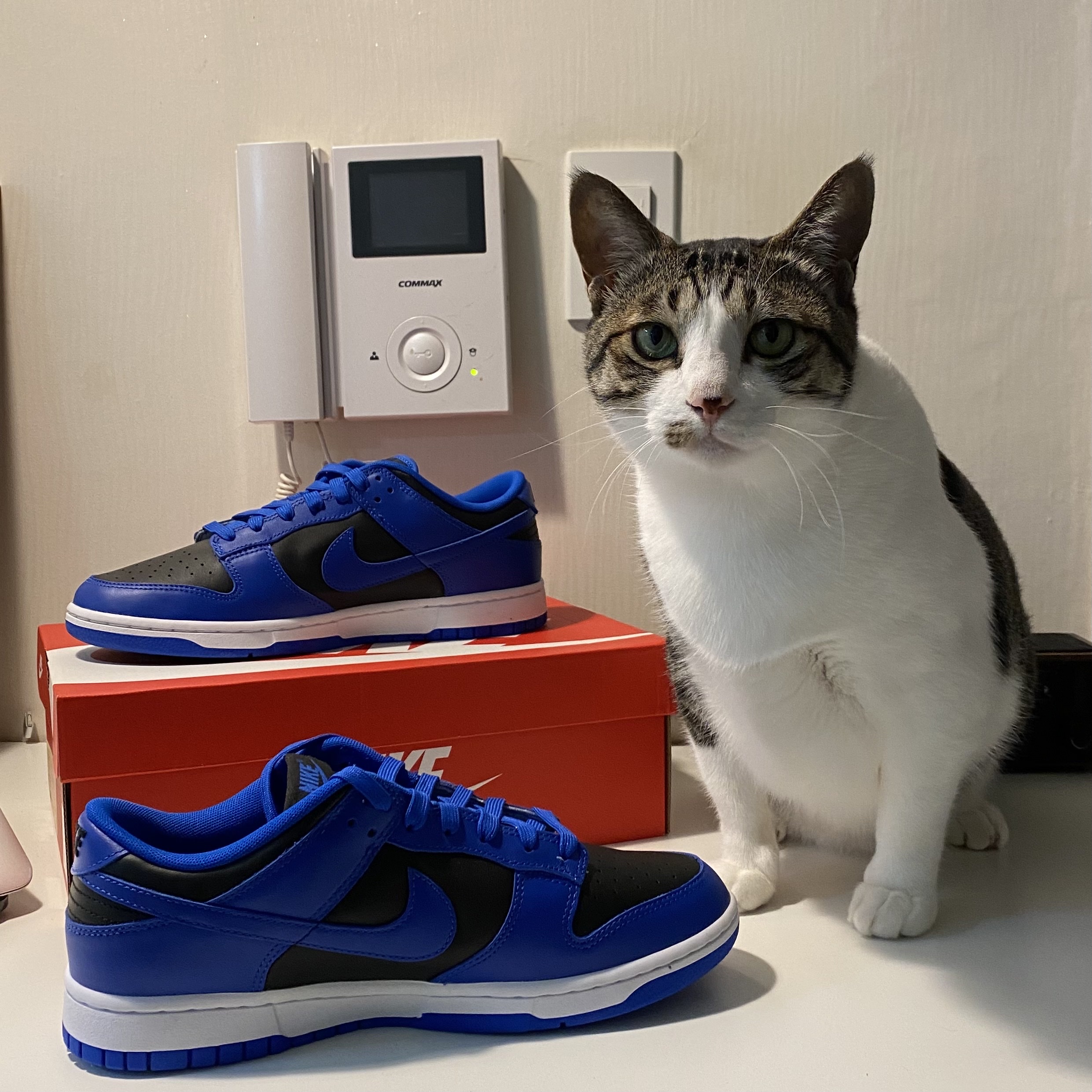 Nike Dunk Low Retro Hyper Cobalt 착용 스타일 - 3