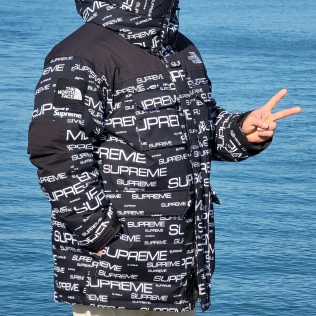 Supreme x The North Face Coldworks 700-Fill Down Parka Black - 21FW 착용 스타일 - 2