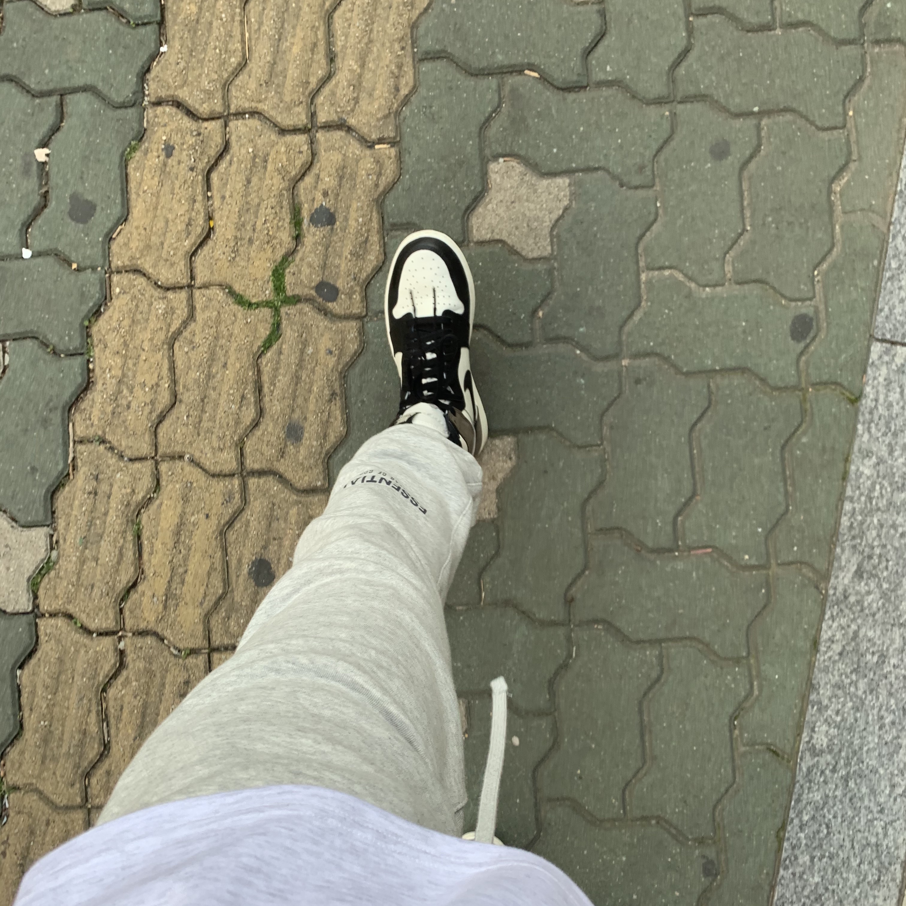 Jordan 1 Retro High OG Black Mocha, Essentials Sweatpants Oatmeal - 21SS 착용 스타일 - 1