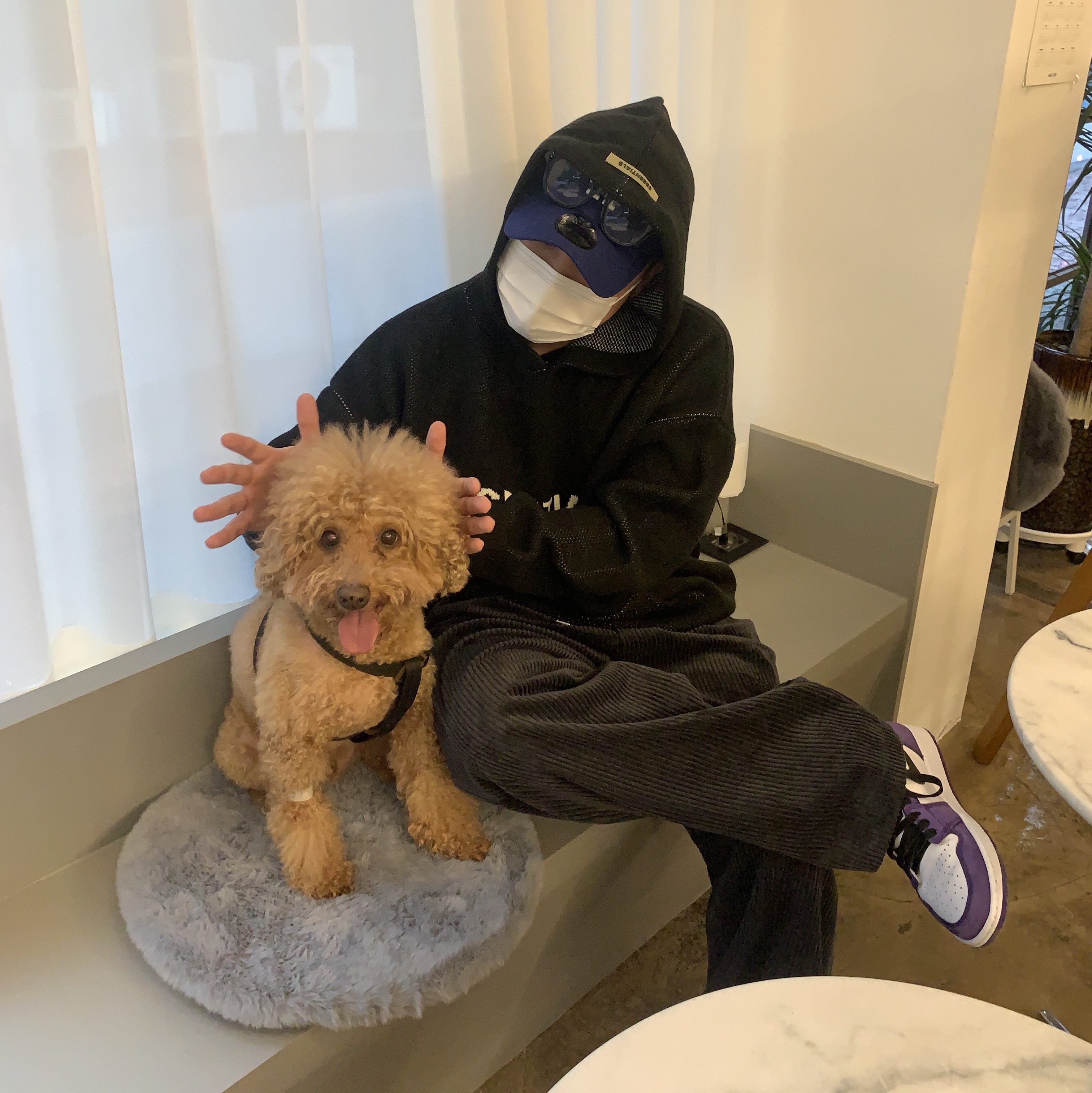 Jordan 1 Retro High OG Court Purple 2020, Essentials Knit Hoodie Black - 20FW 착용 스타일