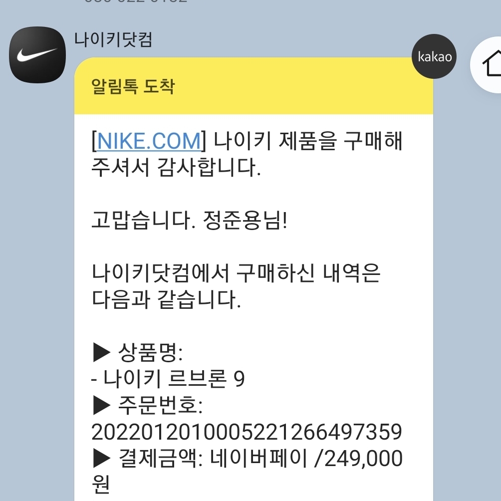 Nike LeBron 9 South Coast 착용 스타일 - 2