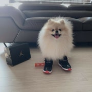 KREAM 프로필 이미지