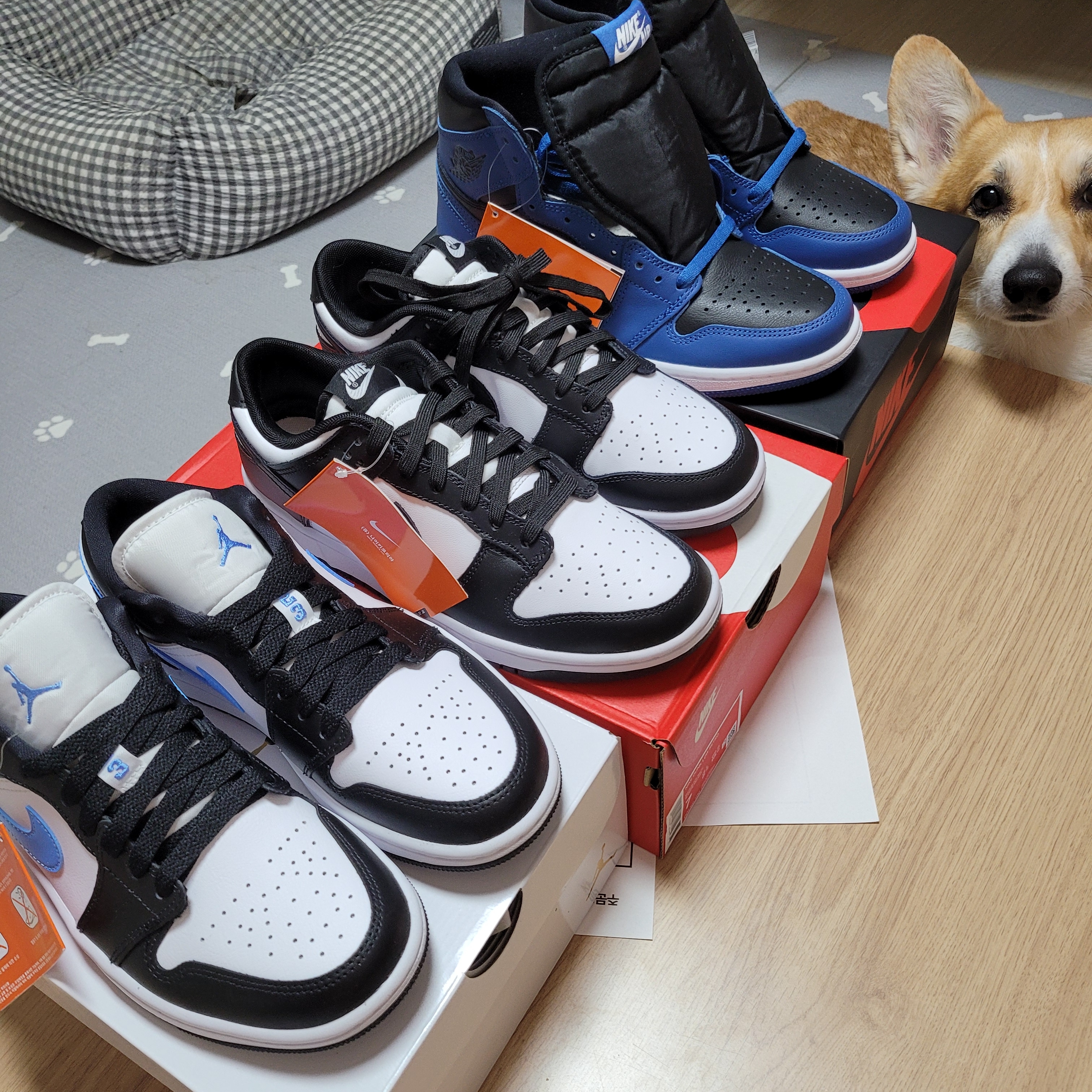 (W) Jordan 1 Low Black University Blue, Nike Dunk Low Retro Black 착용 스타일