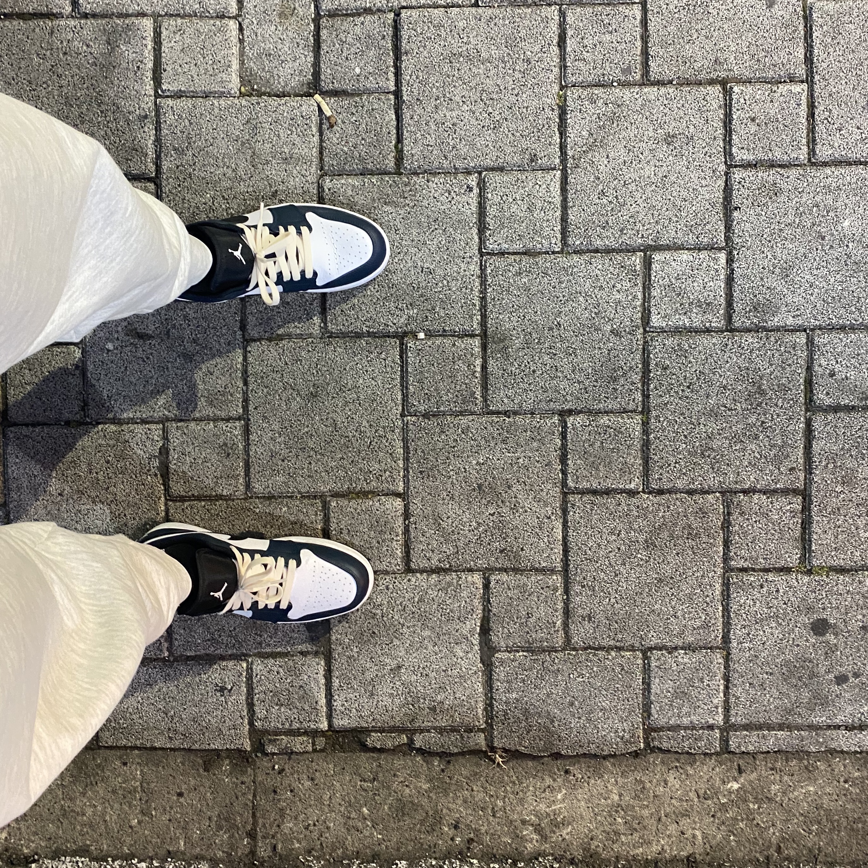 Jordan 1 Low Dark Teal 착용 스타일