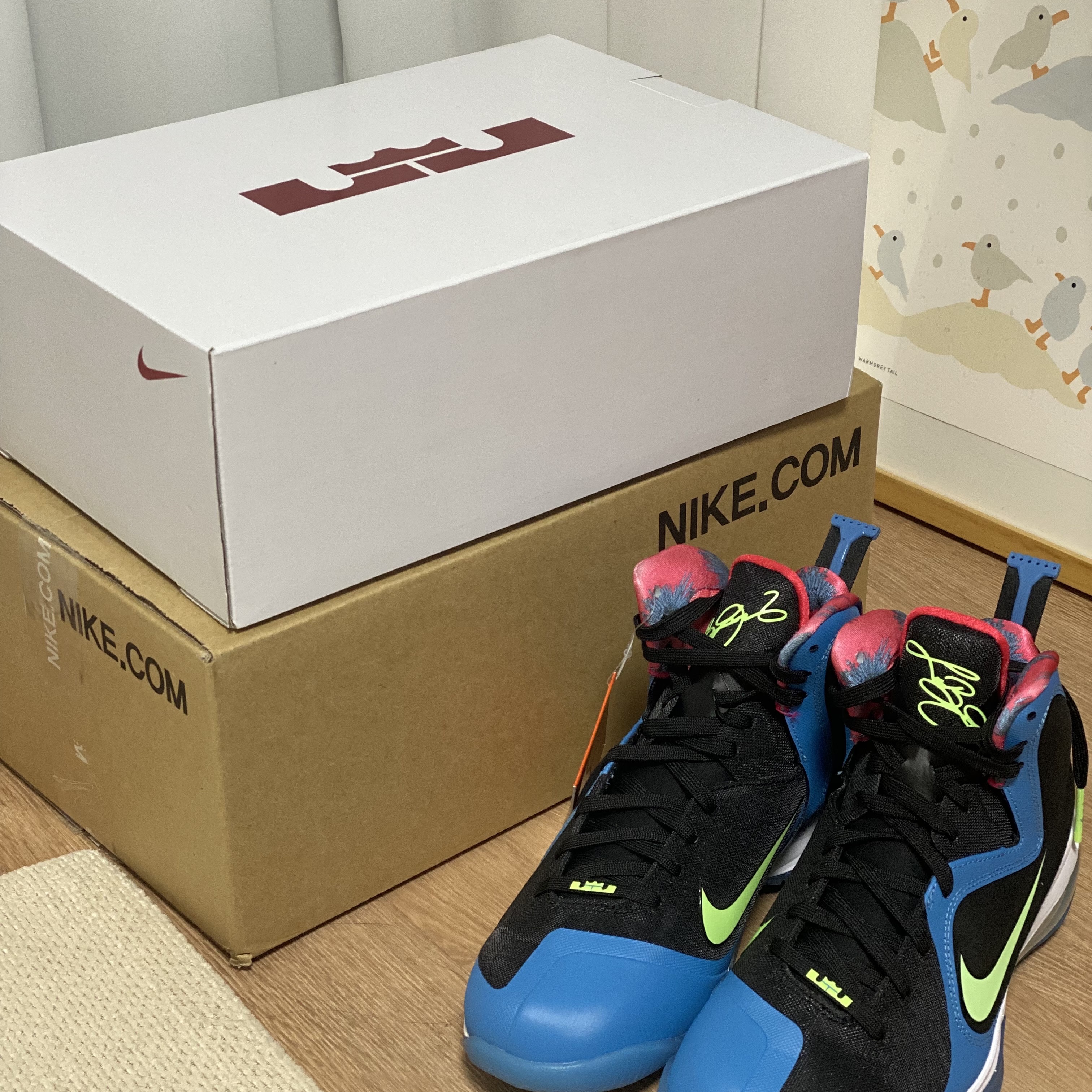 Nike LeBron 9 South Coast 착용 스타일 - 1