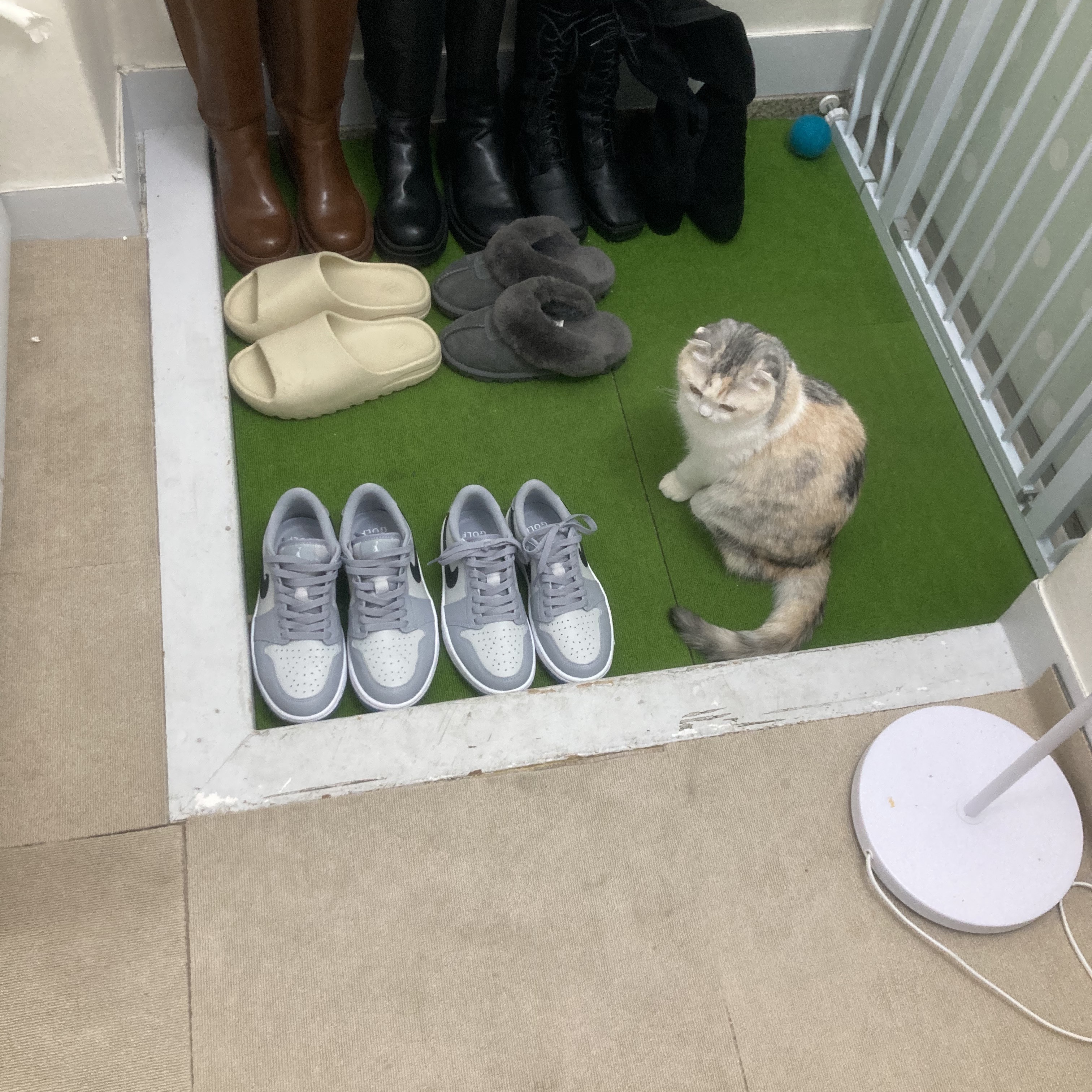 Jordan 1 Low Golf Wolf Grey, Adidas Yeezy Slide Bone 착용 스타일 - 2