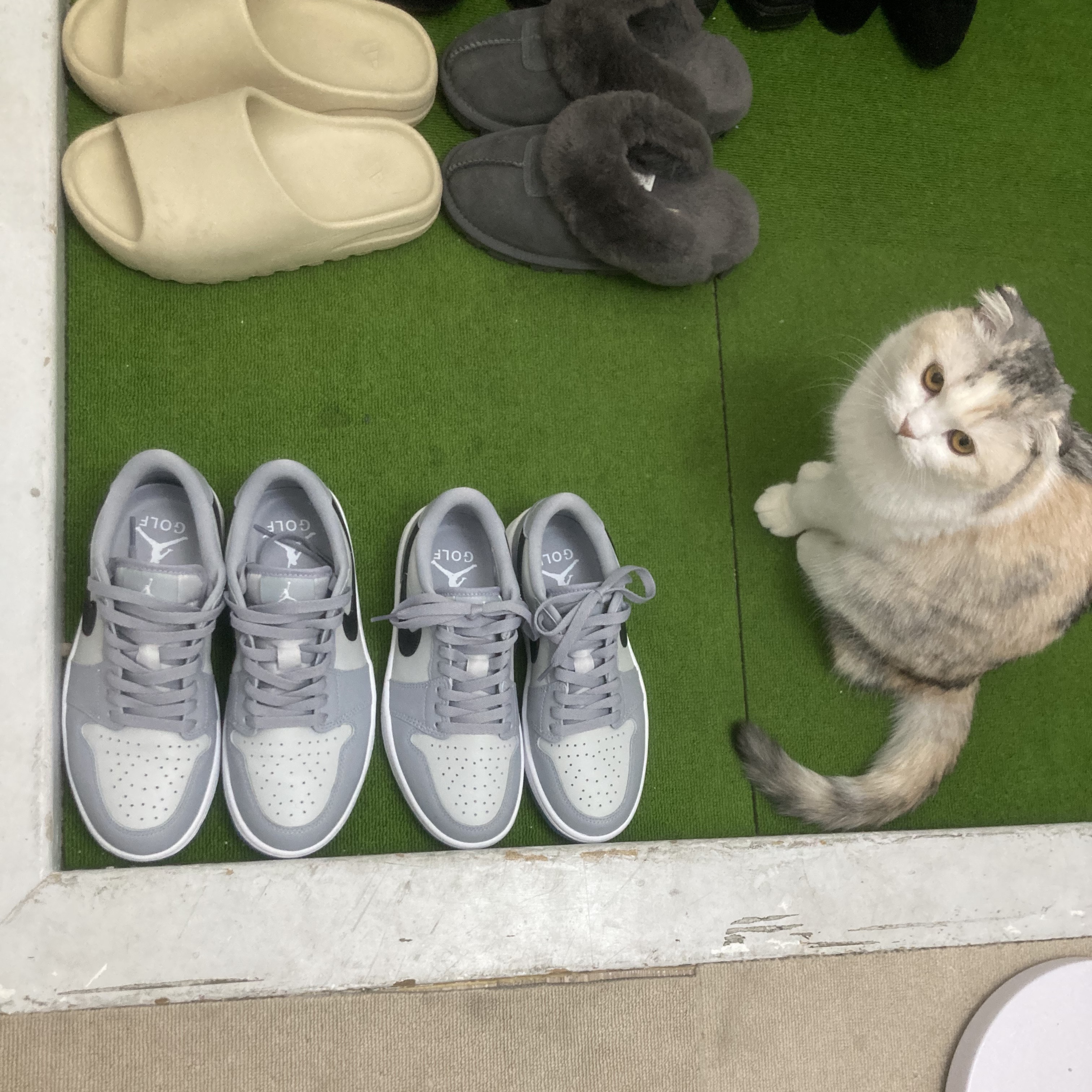 Jordan 1 Low Golf Wolf Grey, Adidas Yeezy Slide Bone 착용 스타일 - 1