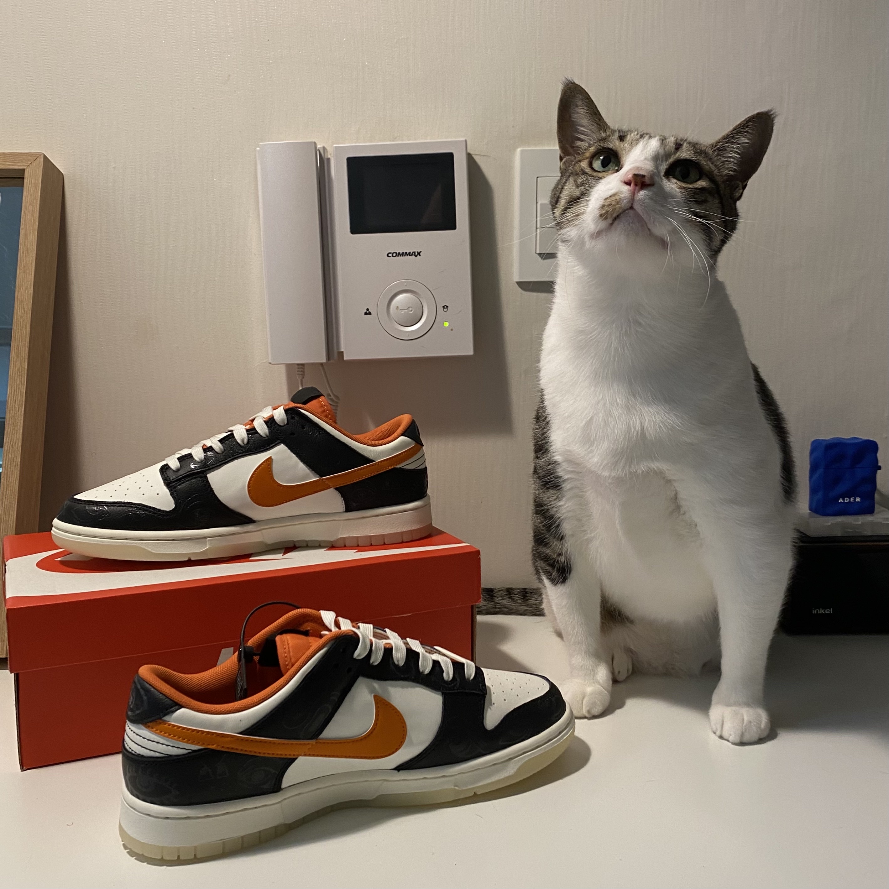 Nike Dunk Low Retro PRM Halloween 착용 스타일 - 3
