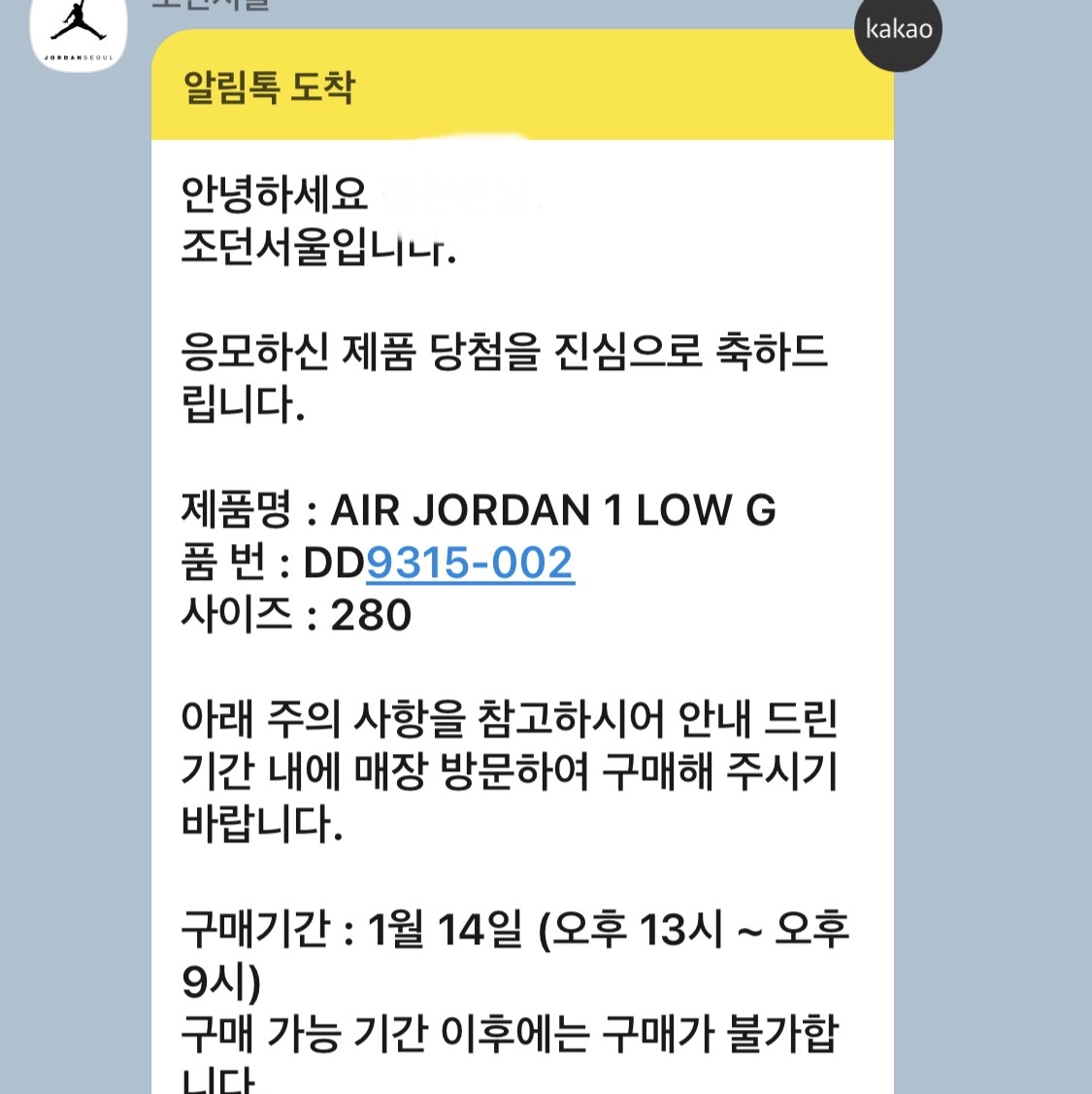 Jordan 1 Low Golf Wolf Grey 착용 스타일 - 1