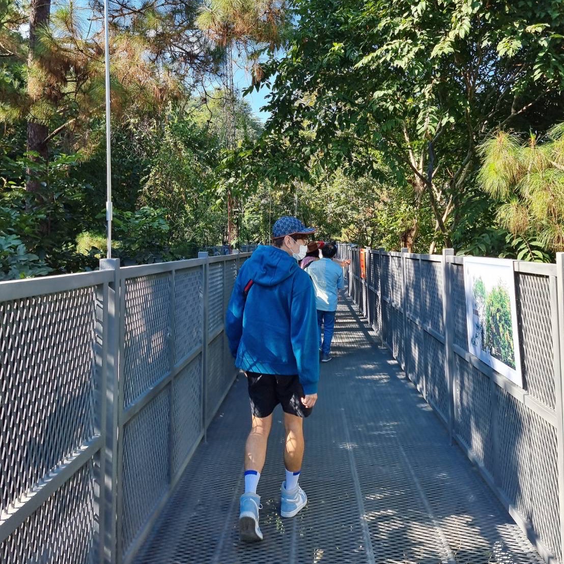 Maison Kitsune x Ader Error Meditation Fox Hoodie Turquoise, Jordan 1 Retro High OG Hyper Royal 착용 스타일 - 1