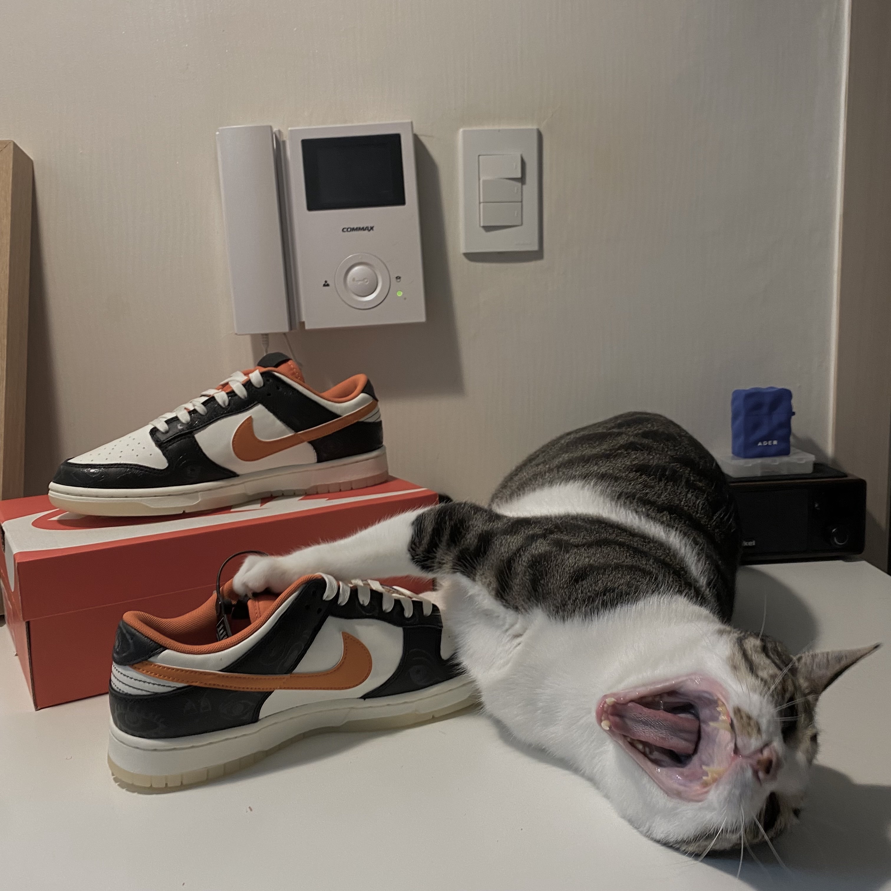 Nike Dunk Low Retro PRM Halloween 착용 스타일 - 1