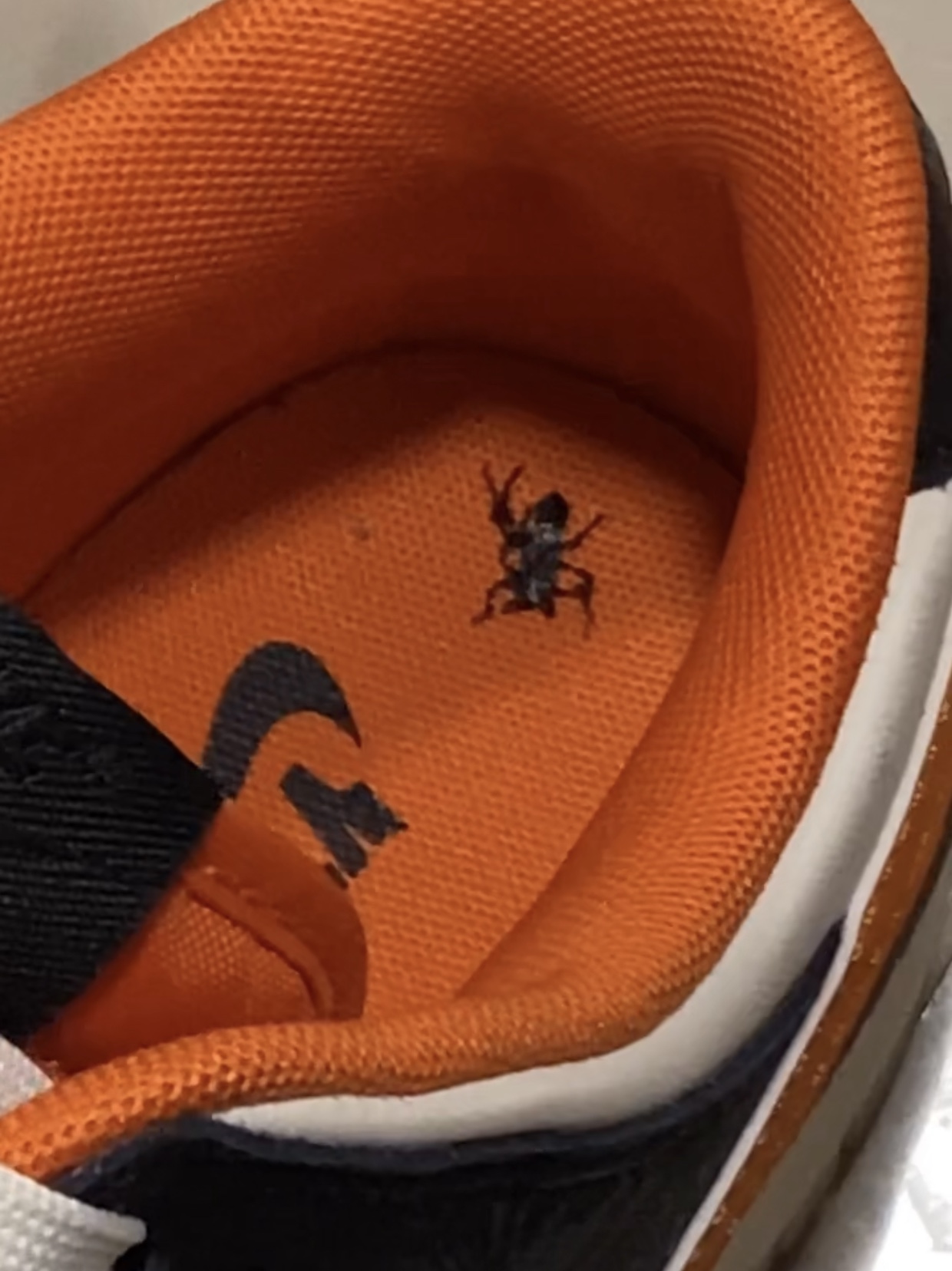 Nike Dunk Low Retro PRM Halloween 착용 스타일 - 2