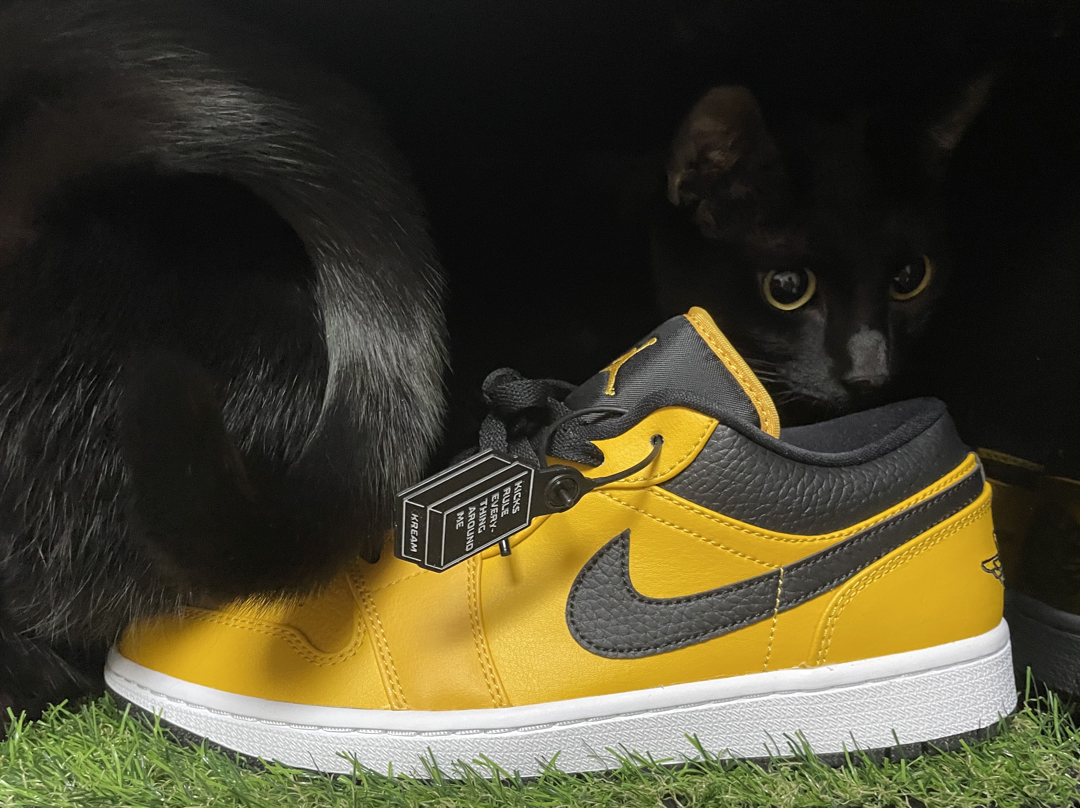 Jordan 1 Low University Gold Black 착용 스타일