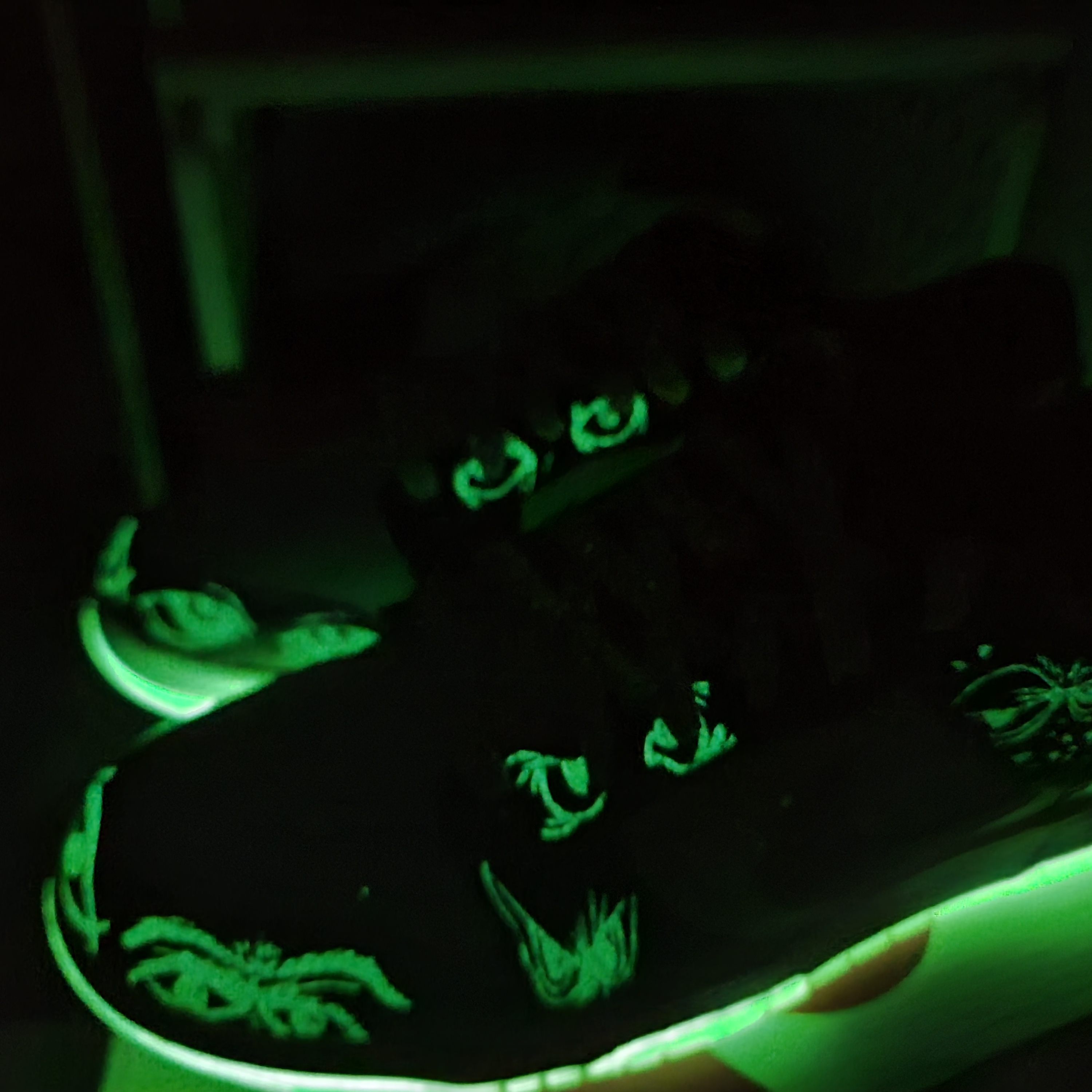 Nike Dunk Low Retro PRM Halloween 착용 스타일 - 4