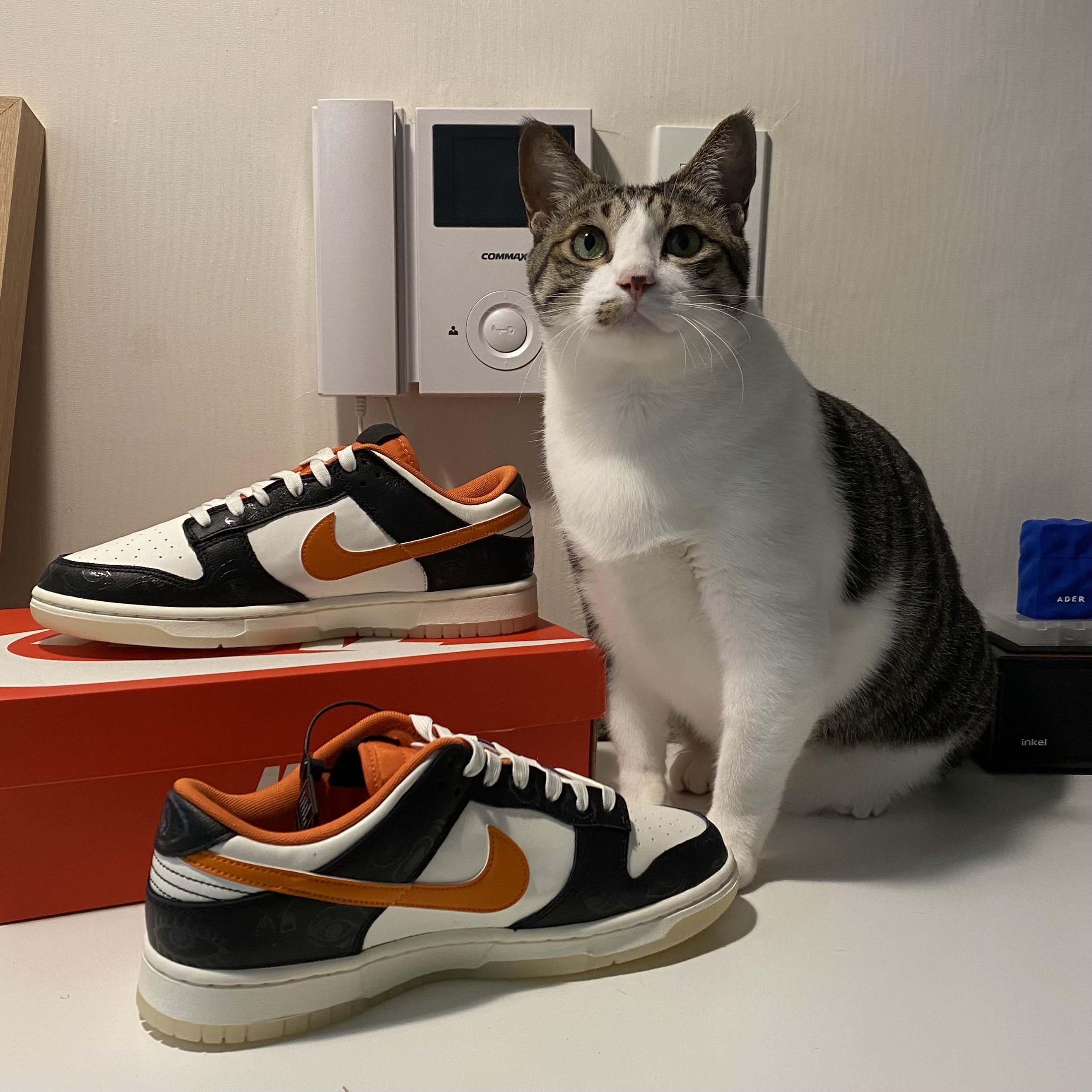 Nike Dunk Low Retro PRM Halloween 착용 스타일 - 2